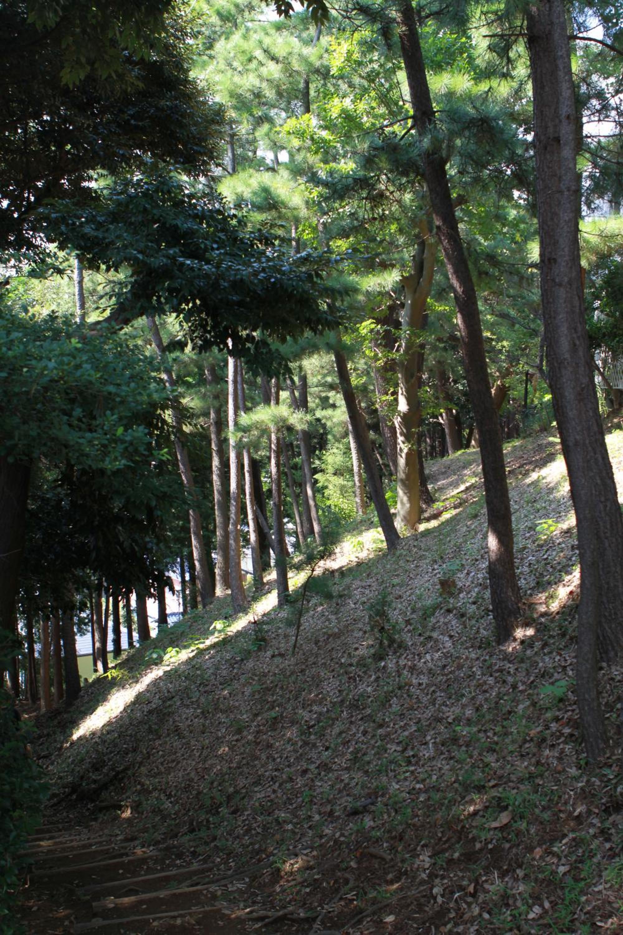 Guest House Dohei
