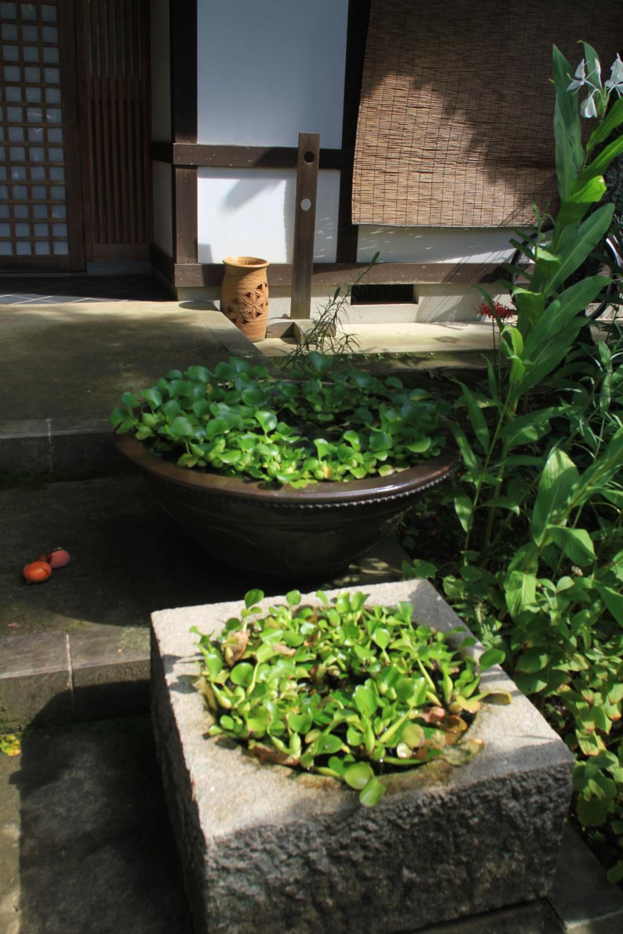 Guest House Dohei