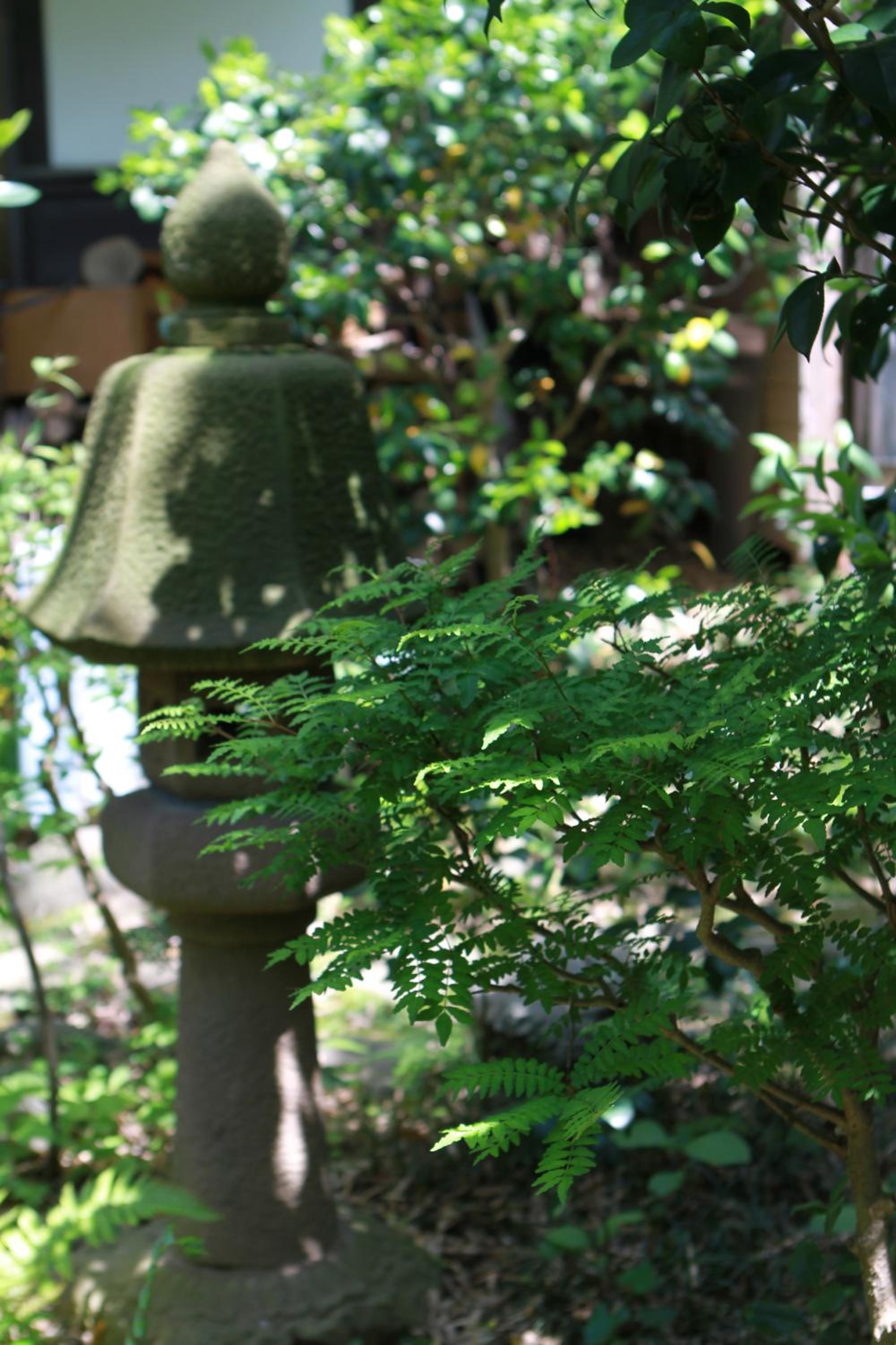 Guest House Dohei