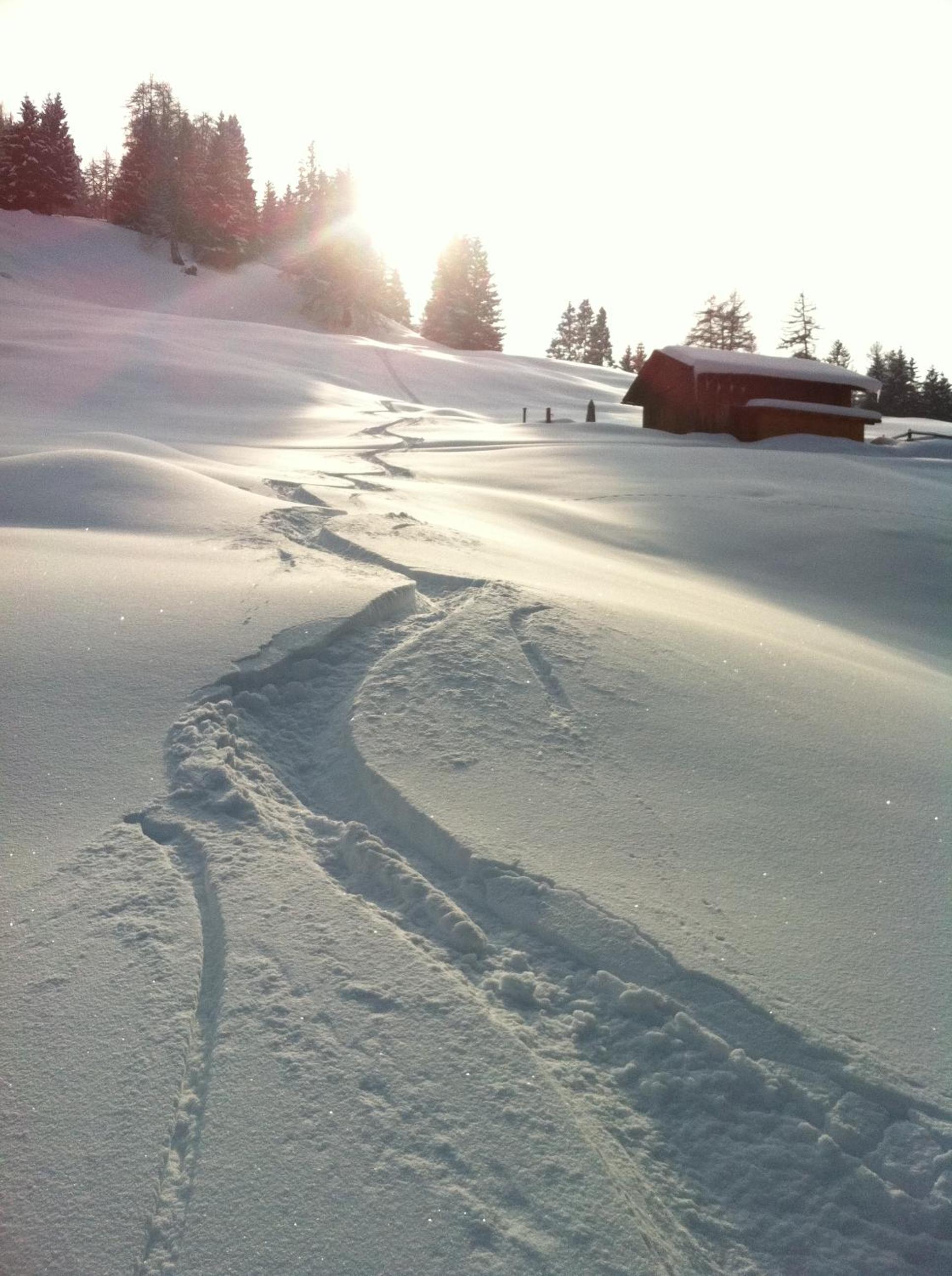 Photo 14