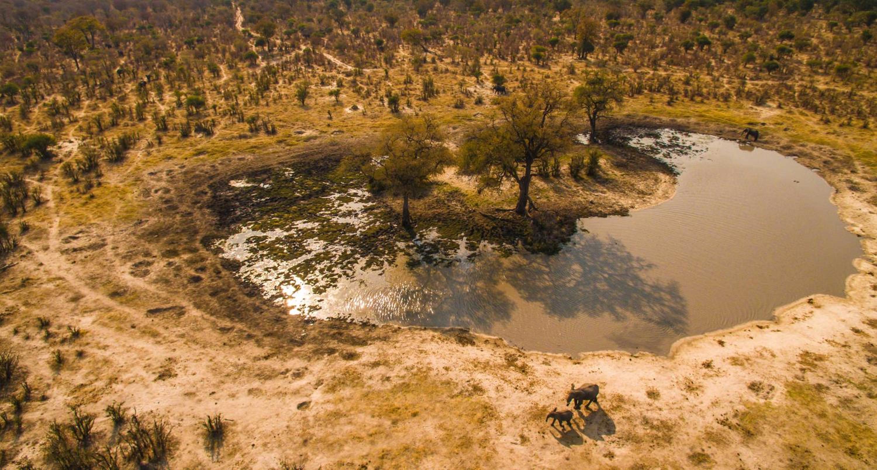 Ghoha Hills Savuti Lodge