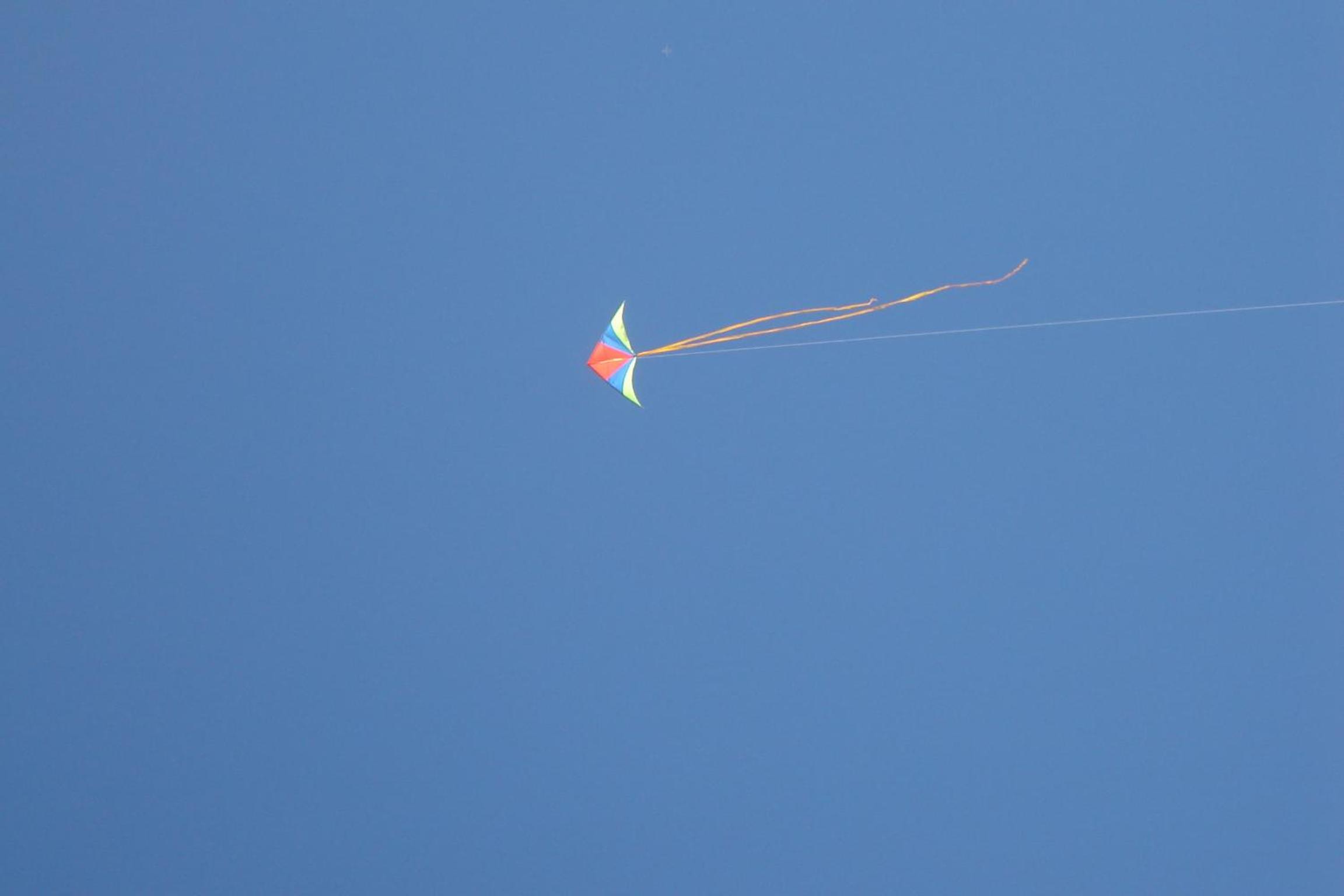 Photo 48