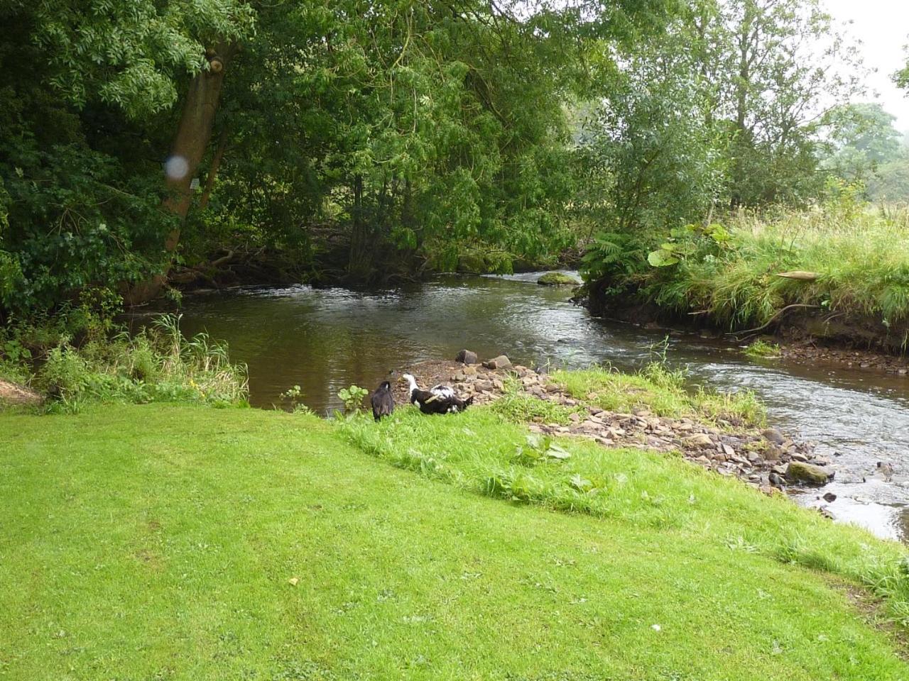 Photo 22