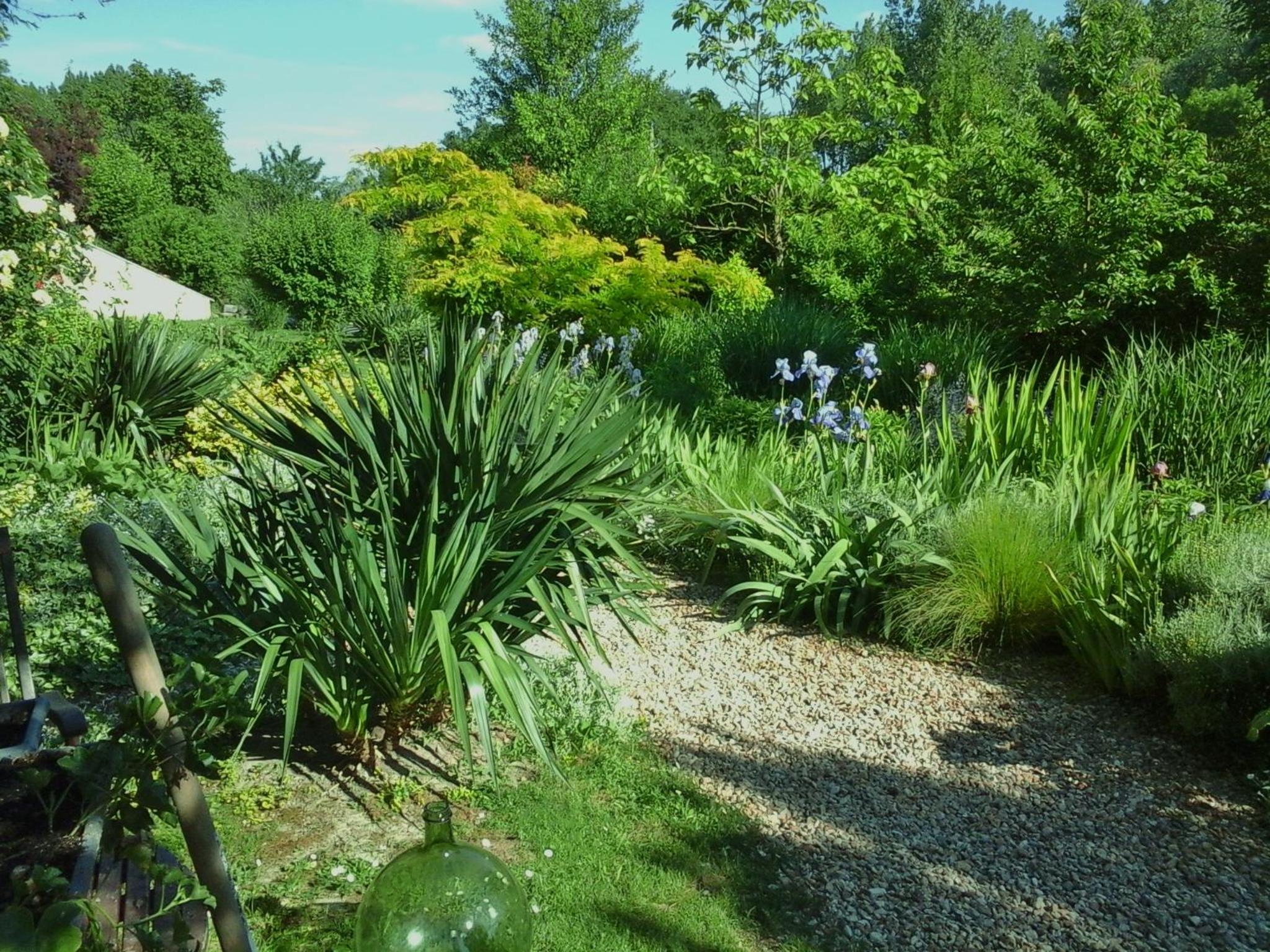 Photo 25