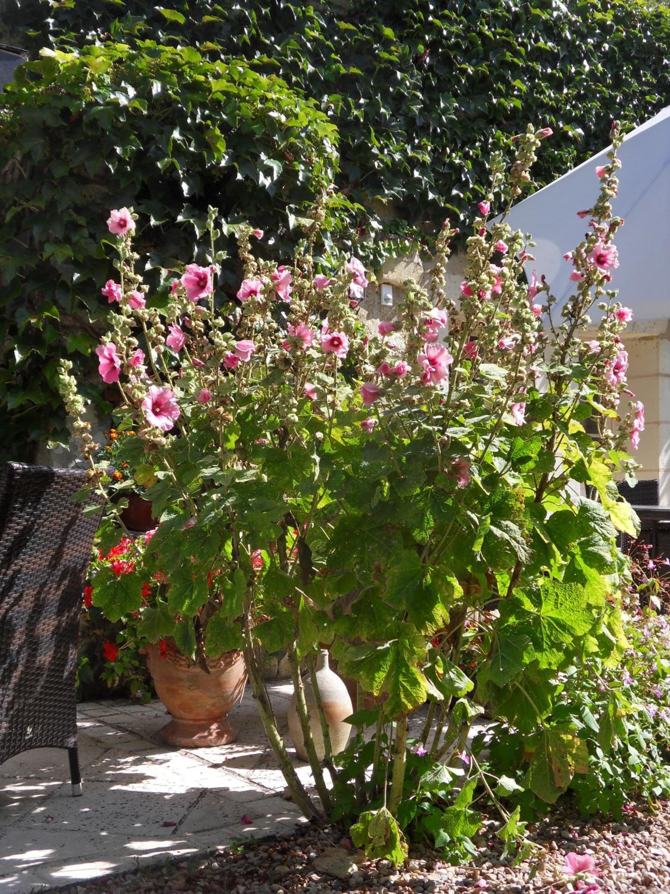 Photo 22