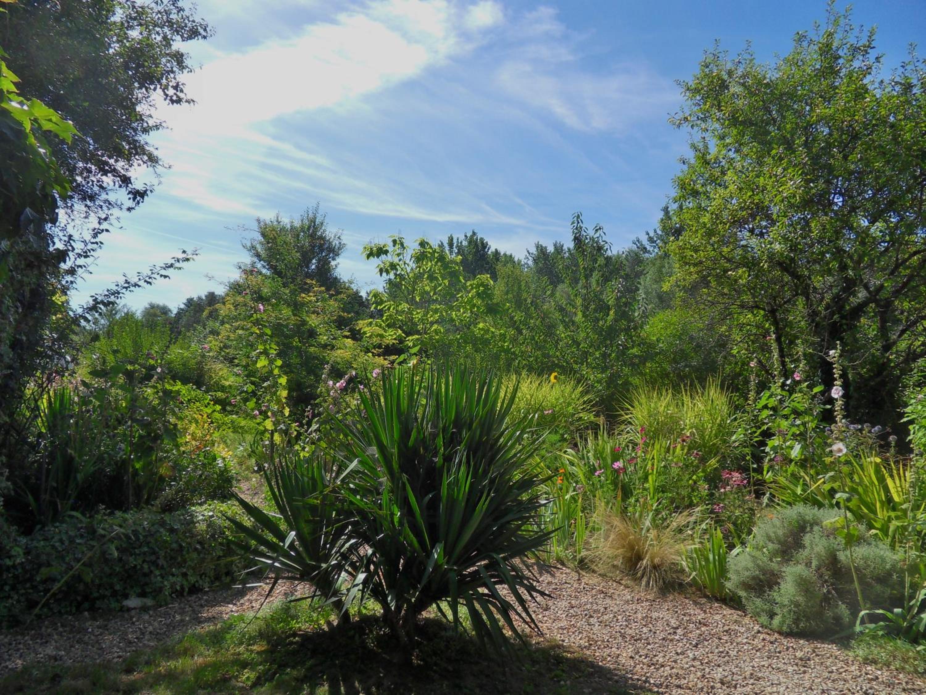 Photo 26