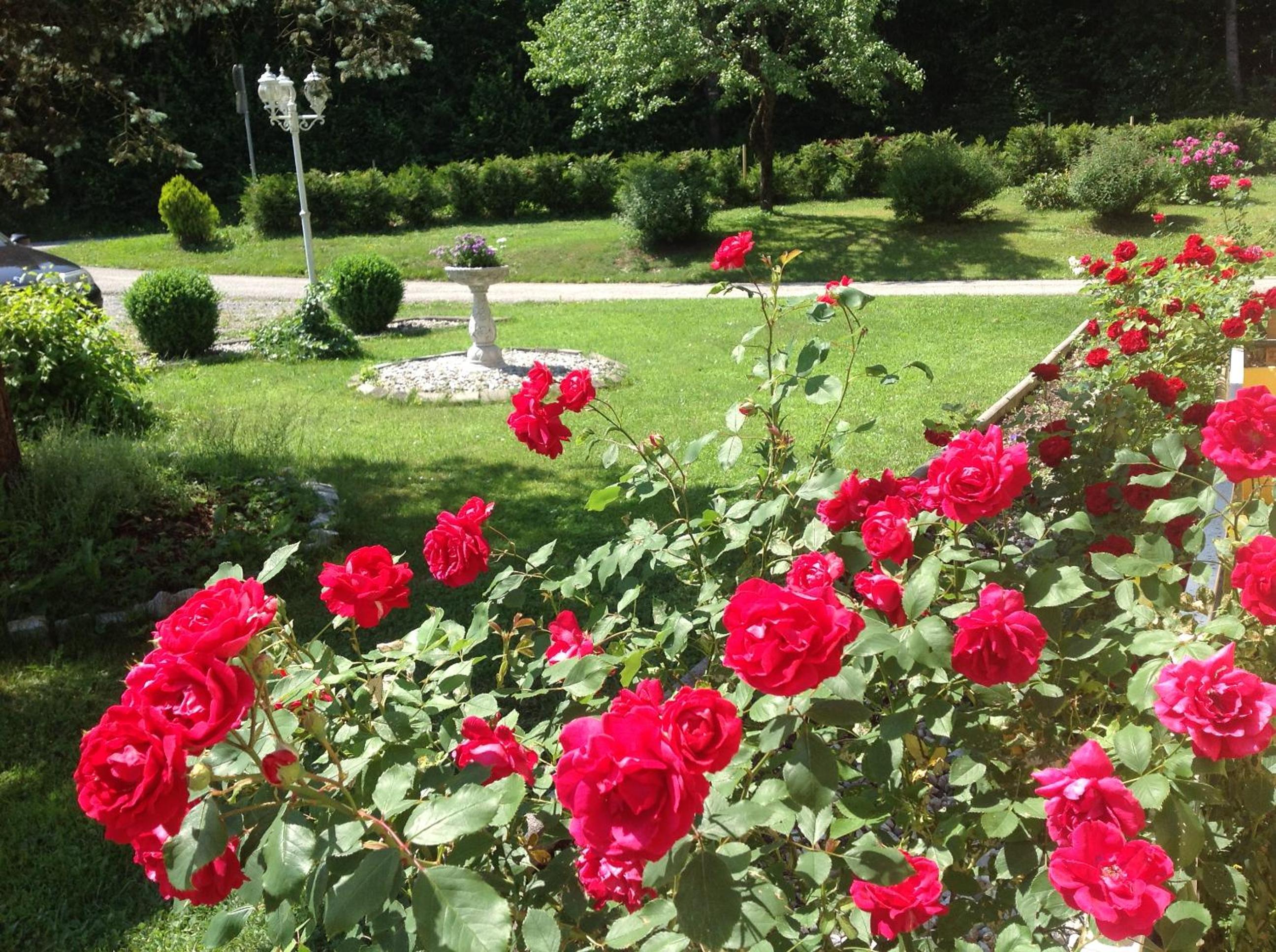 Photo 48