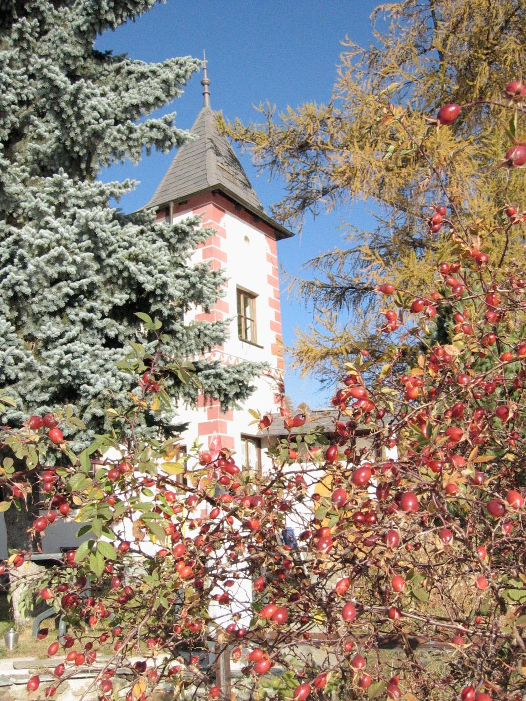 Photo 42