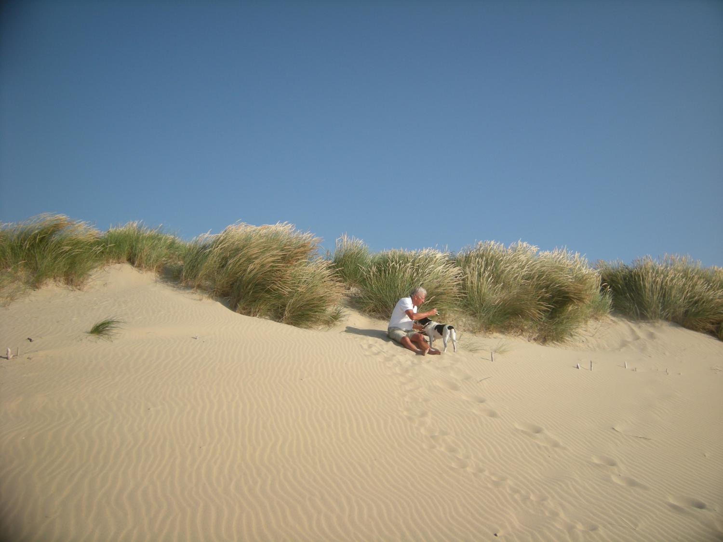 Photo 40