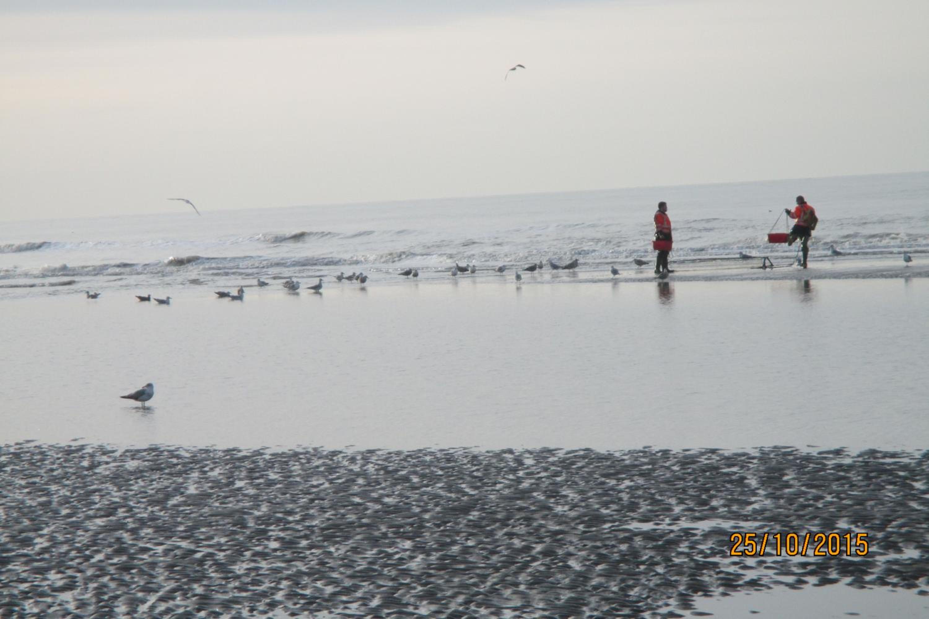 Photo 42