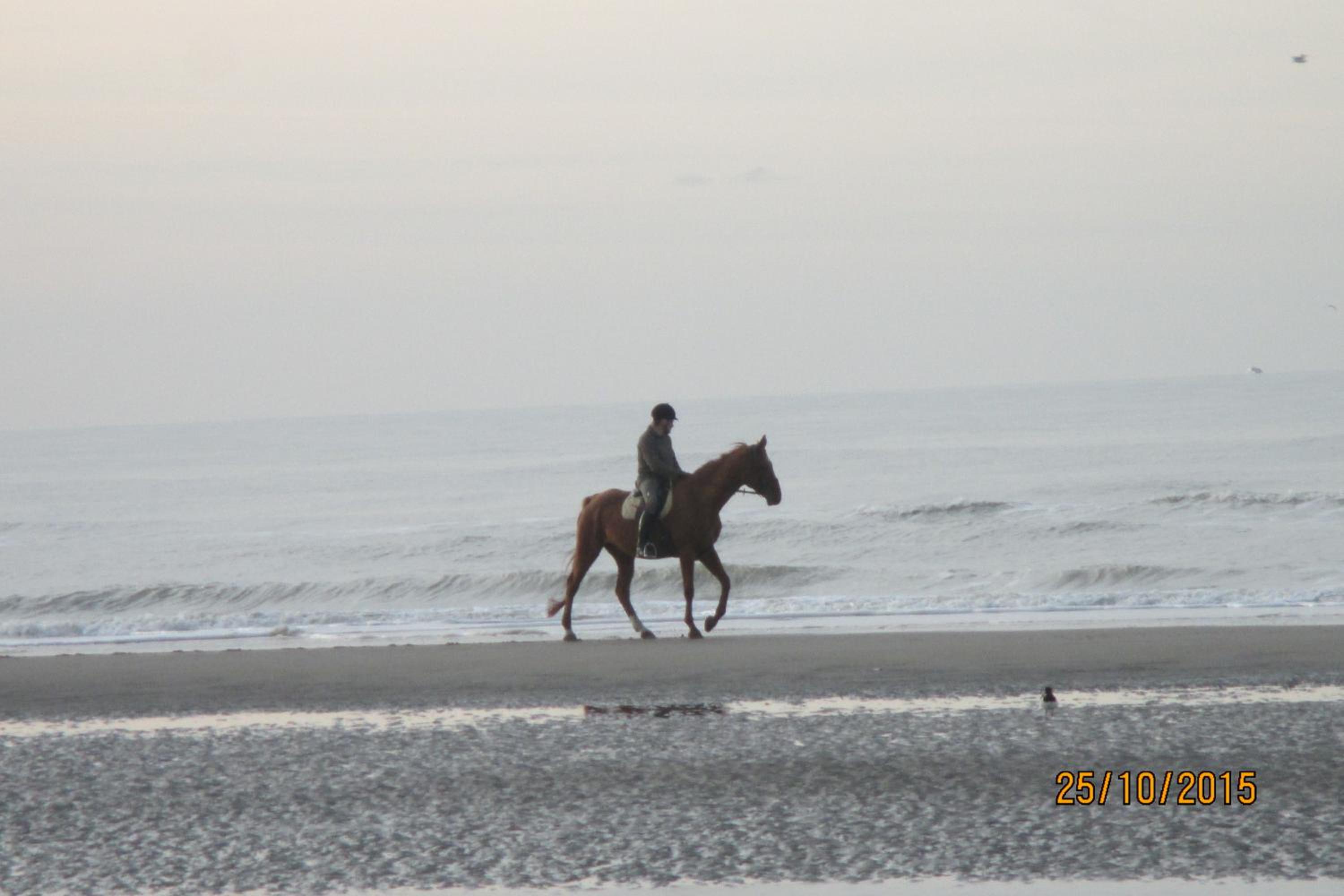 Photo 45