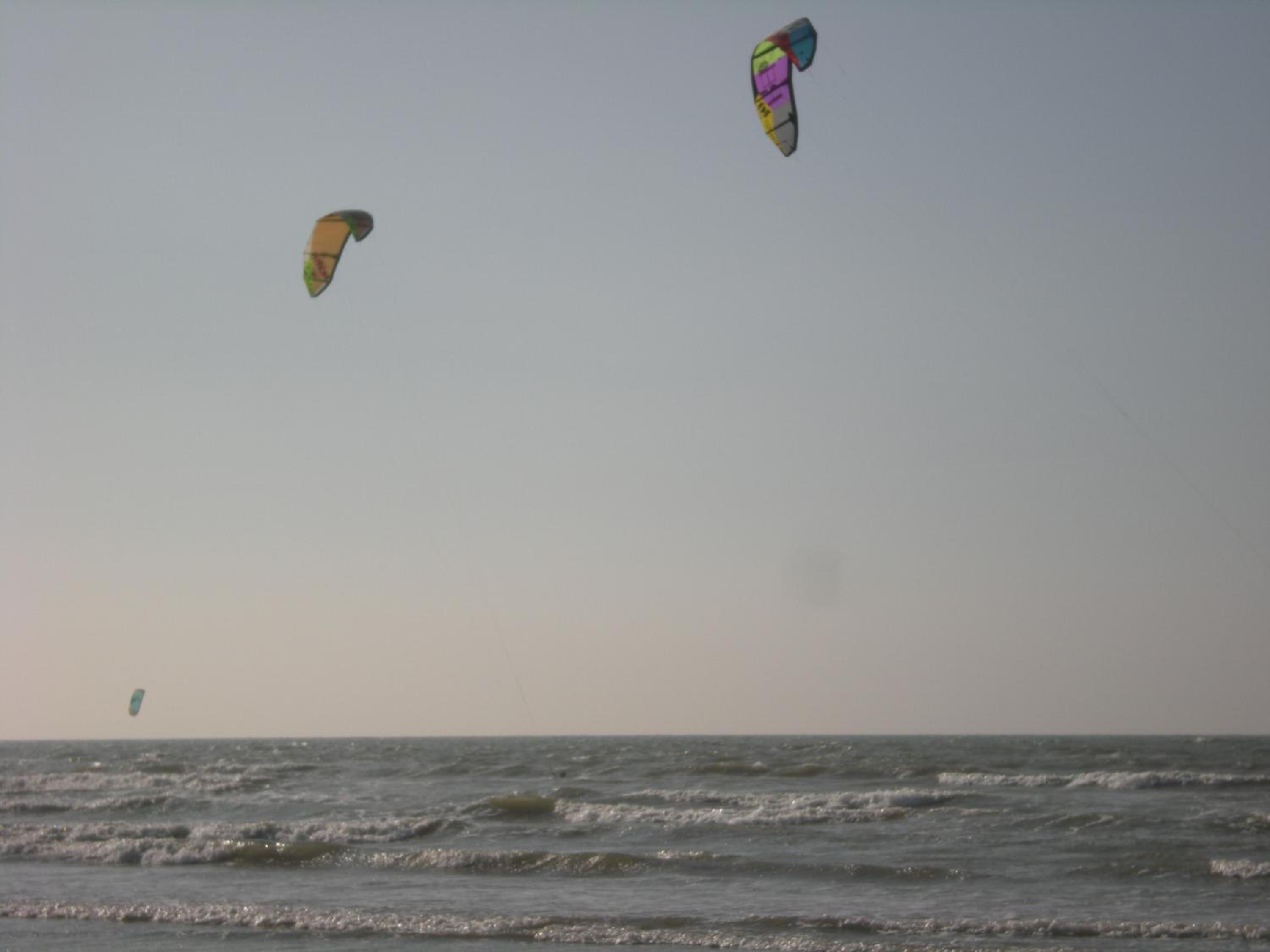Photo 50