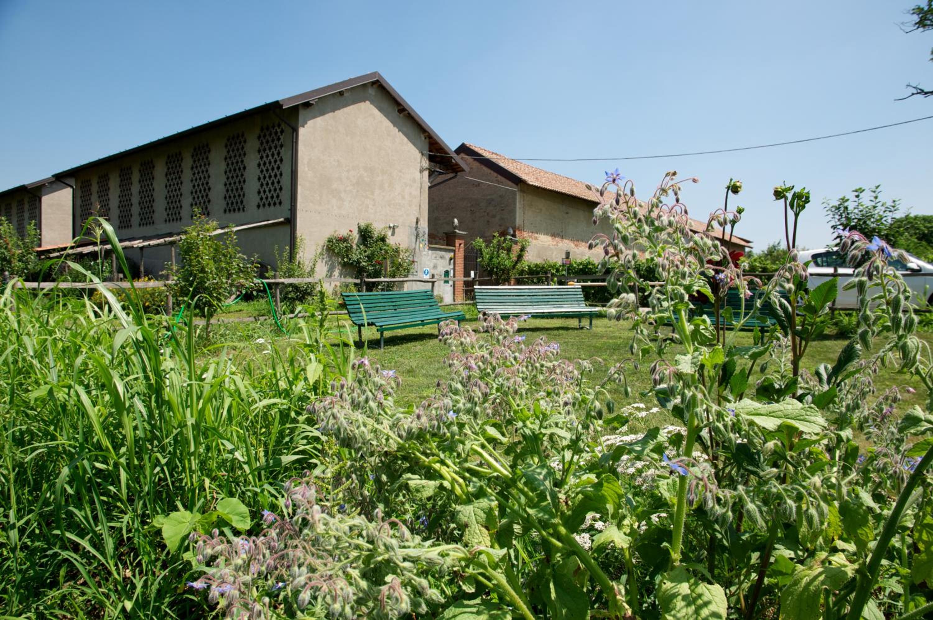 Photo 23