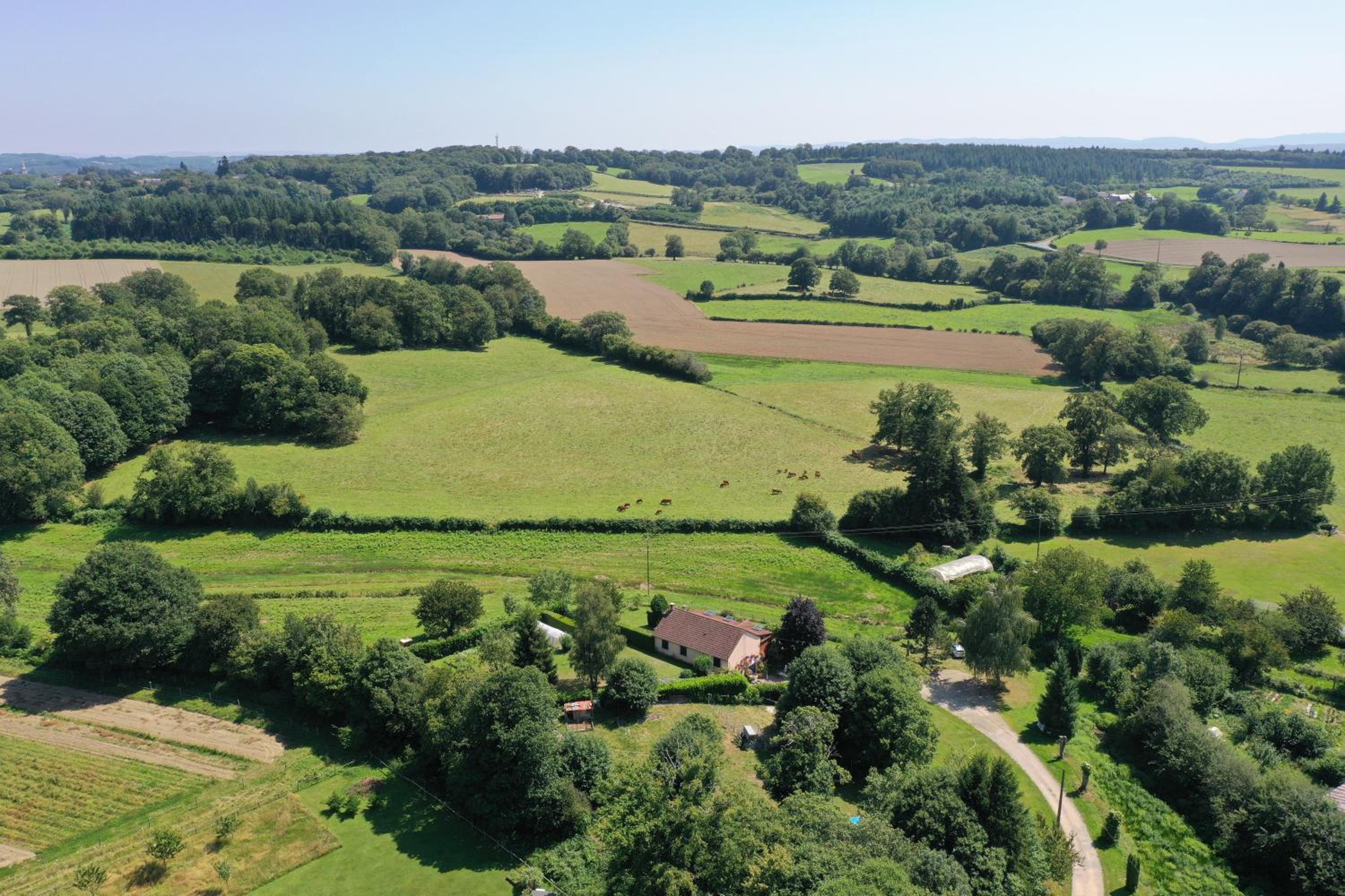 Chambres et table d'hôtes Floromel La Souterraine en rez de chaussee, photo 9