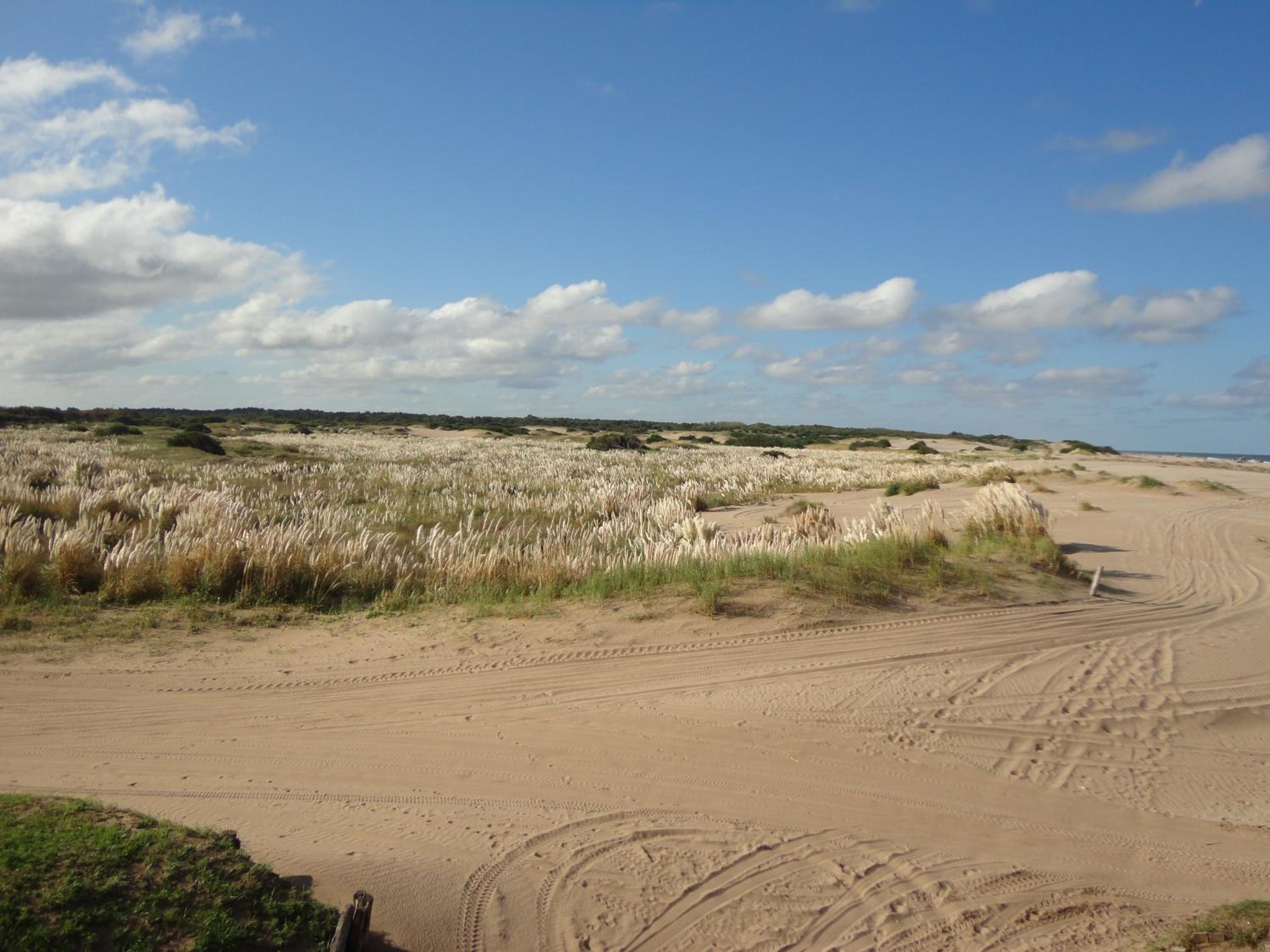 Chacras del Mar