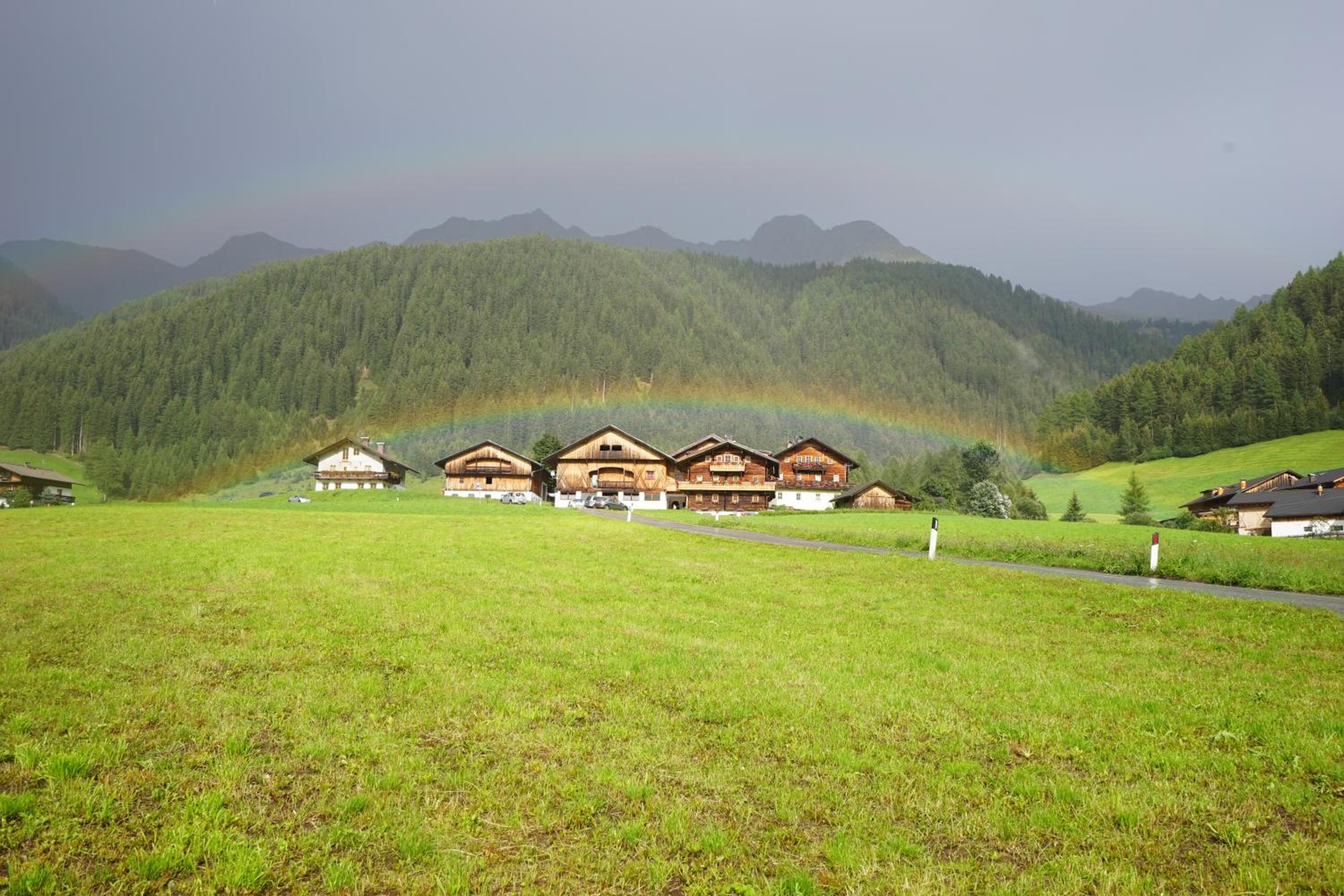 Photo 41