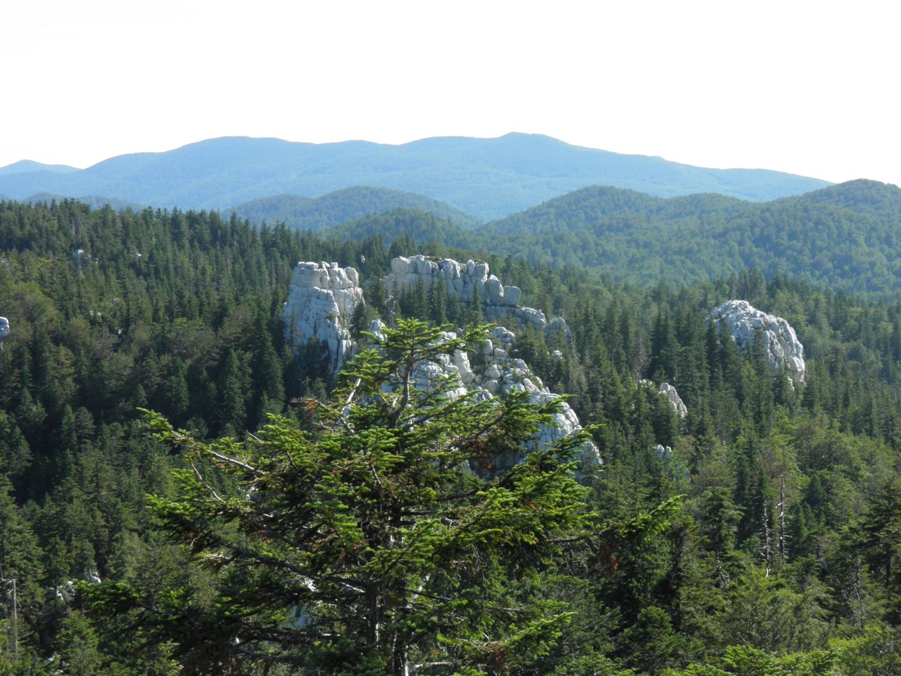 Photo 46