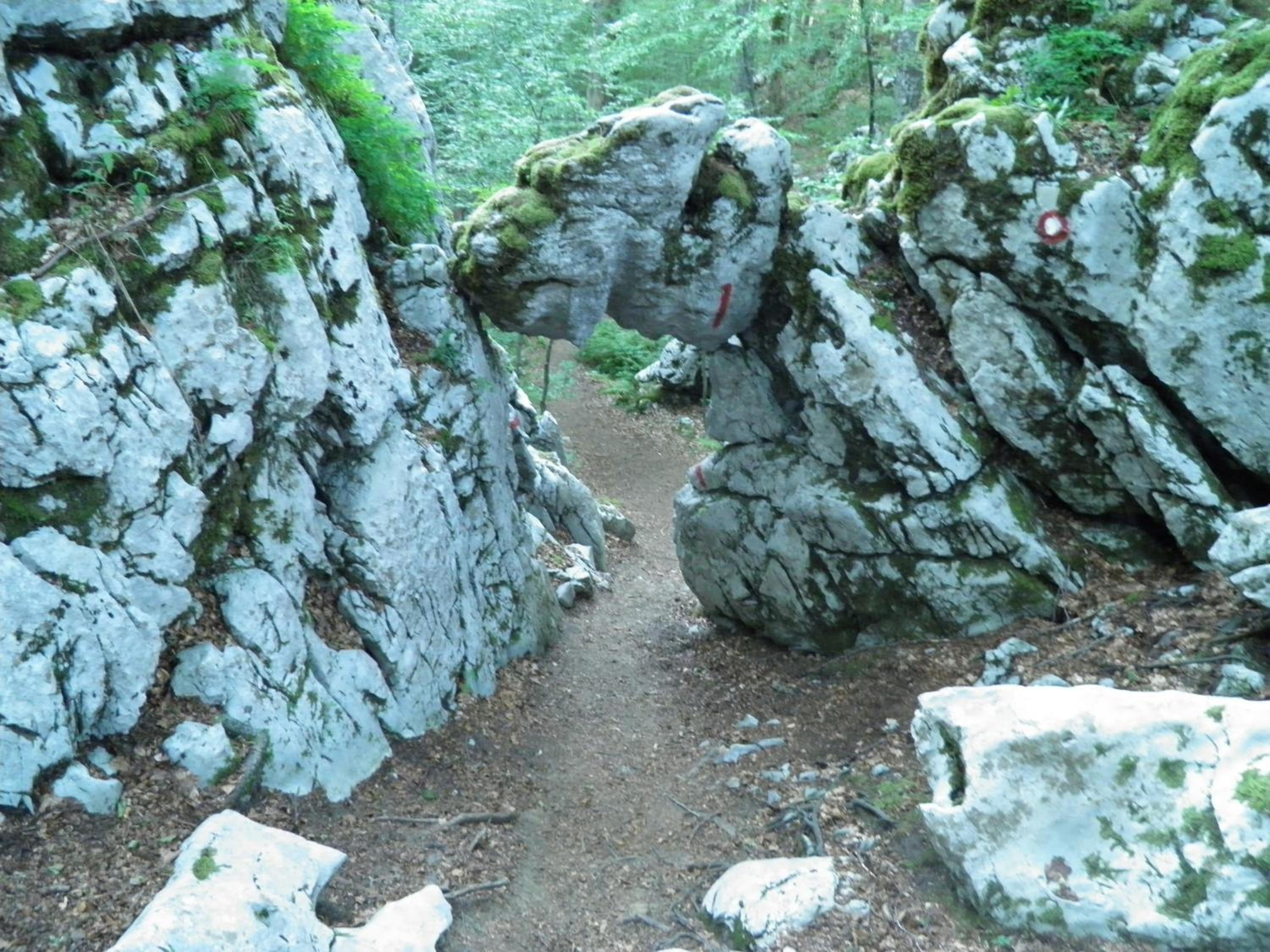 Photo 42