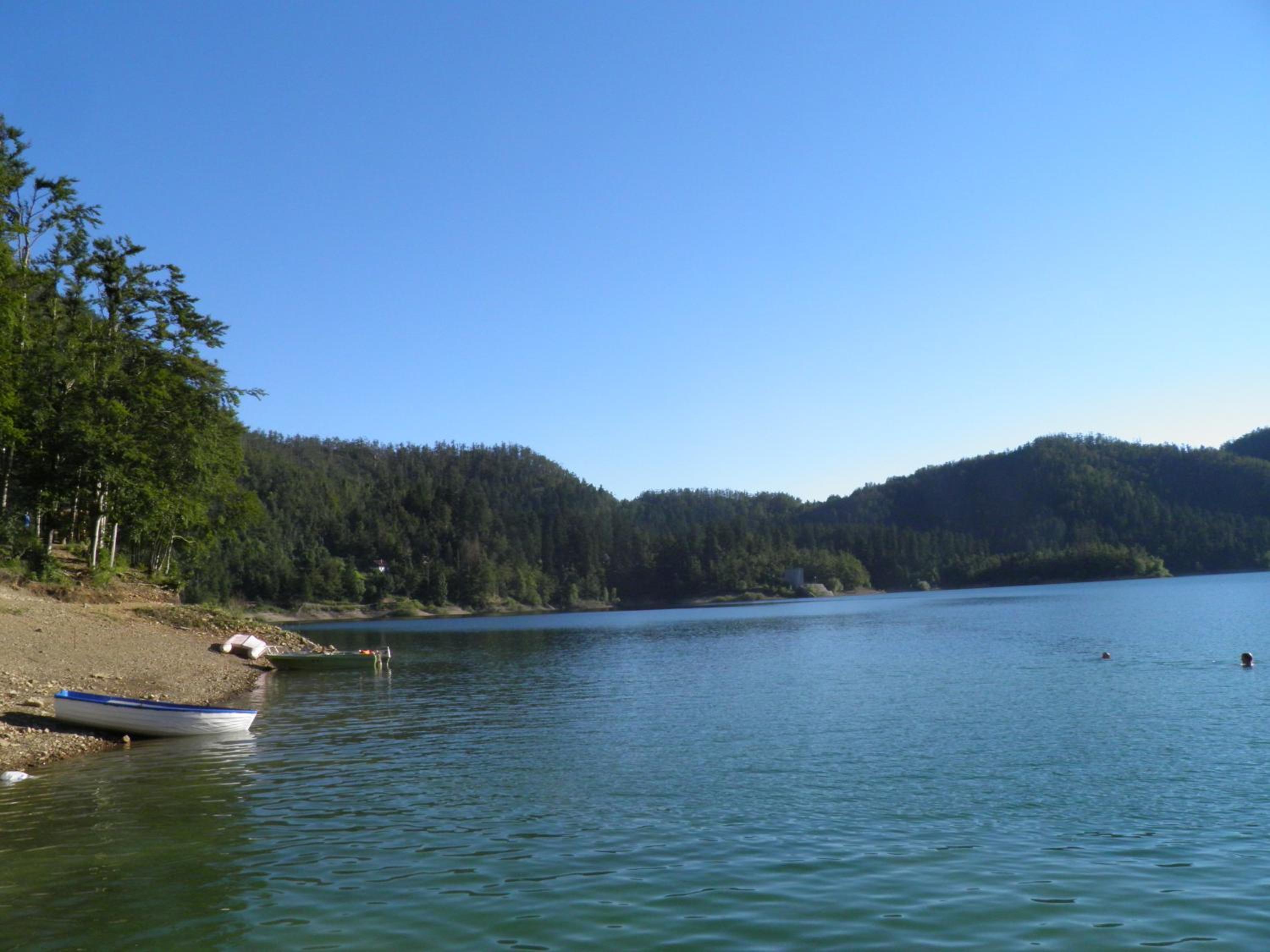 Photo 41