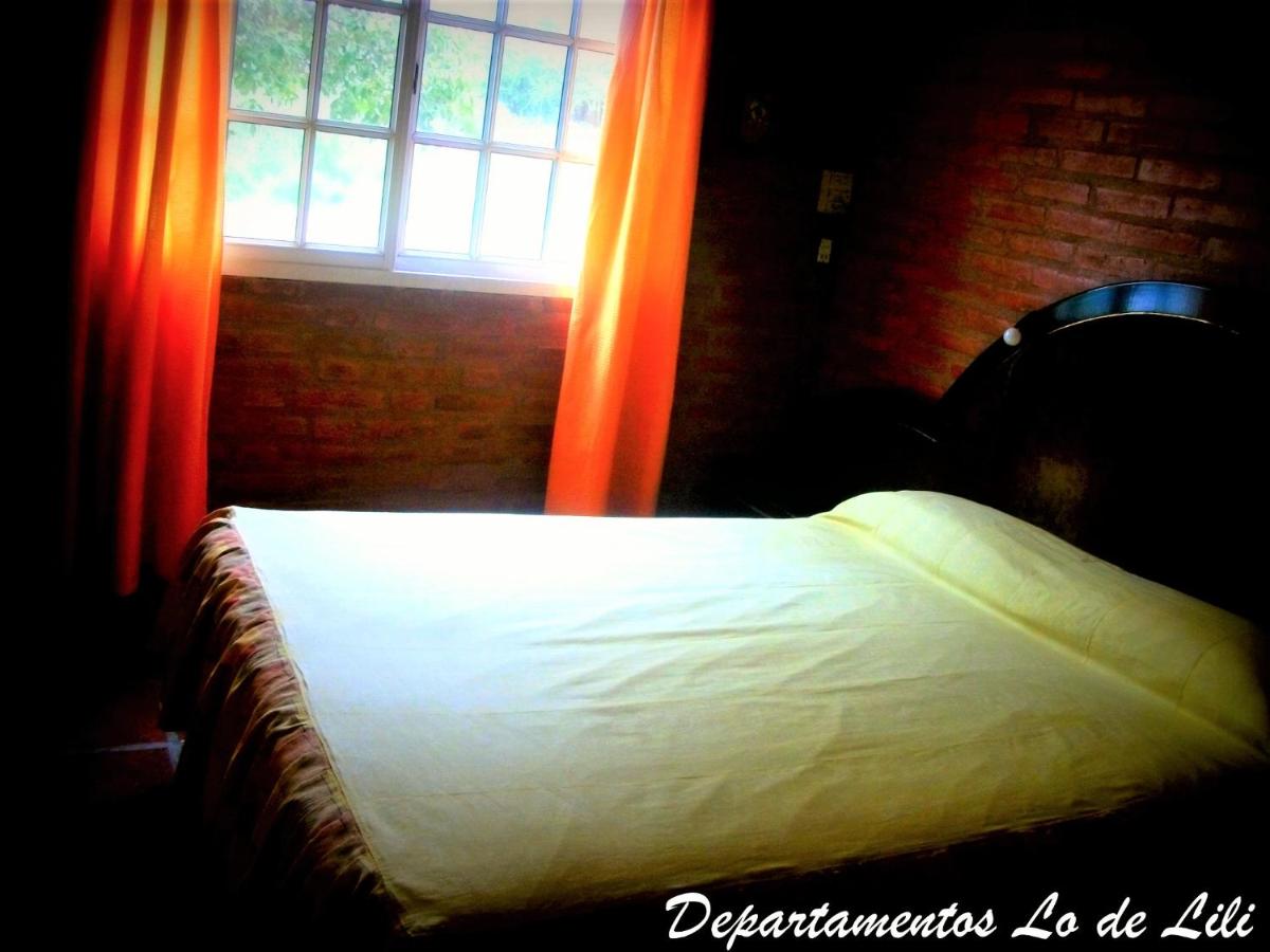 Departamentos Lo de Lili