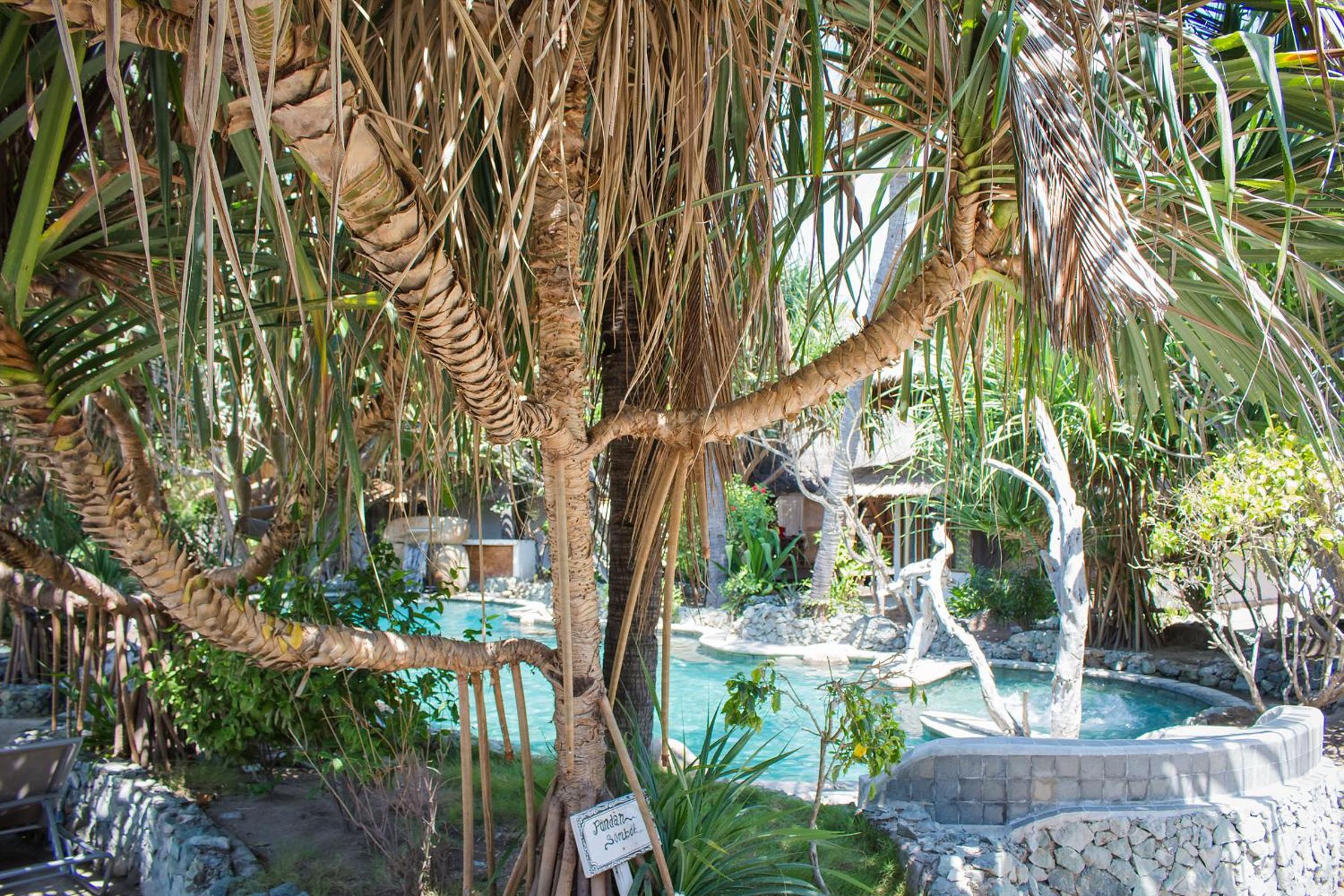Sunrise Resort