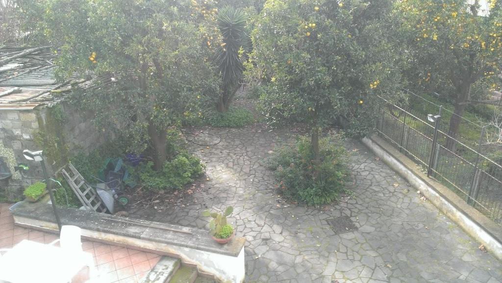 DOMINO HOUSE - Il Casale