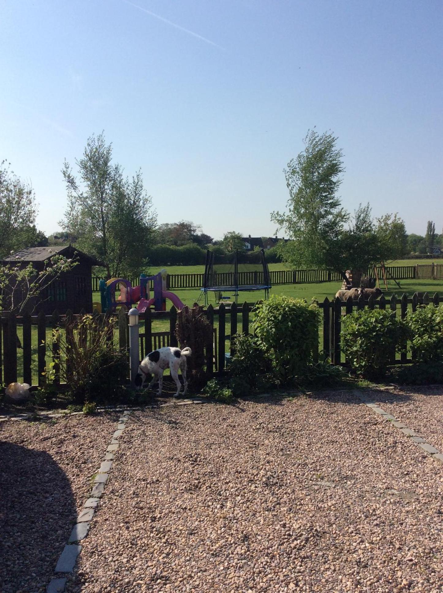 Photo 43
