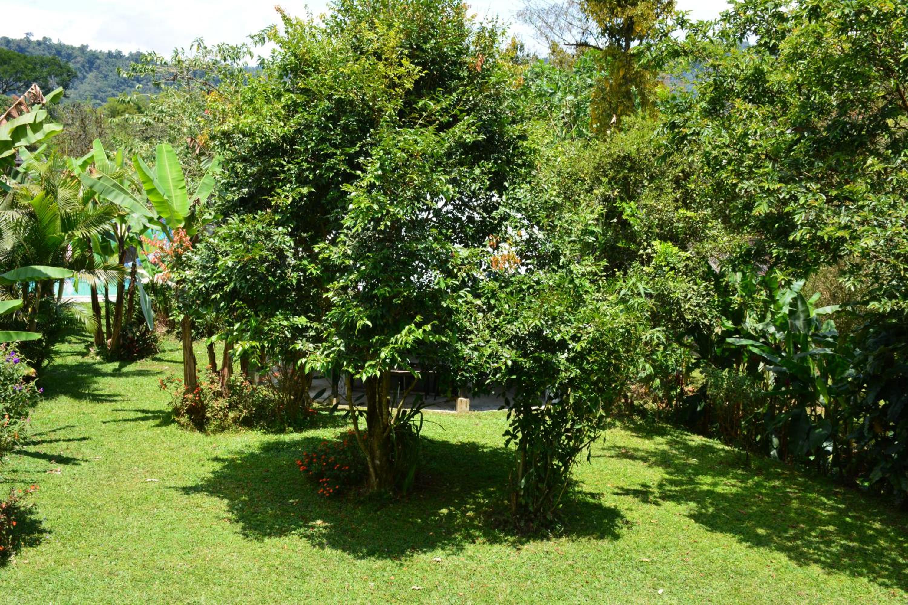 Casa de Piedra