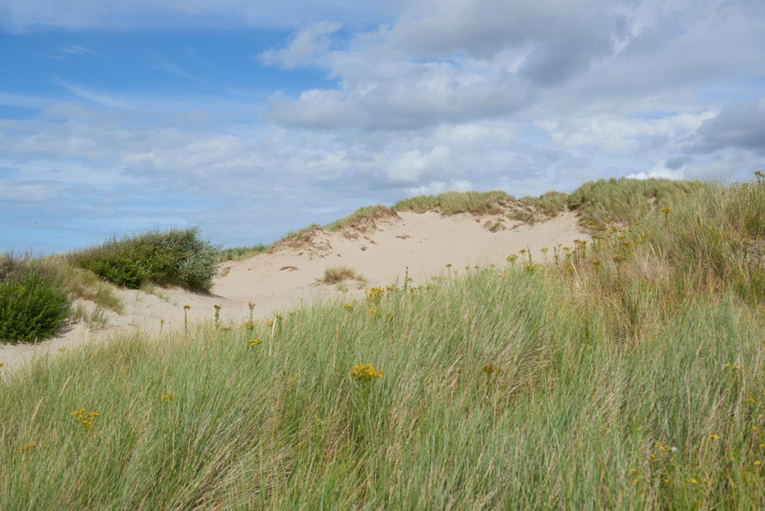 Zeepark Haerendycke