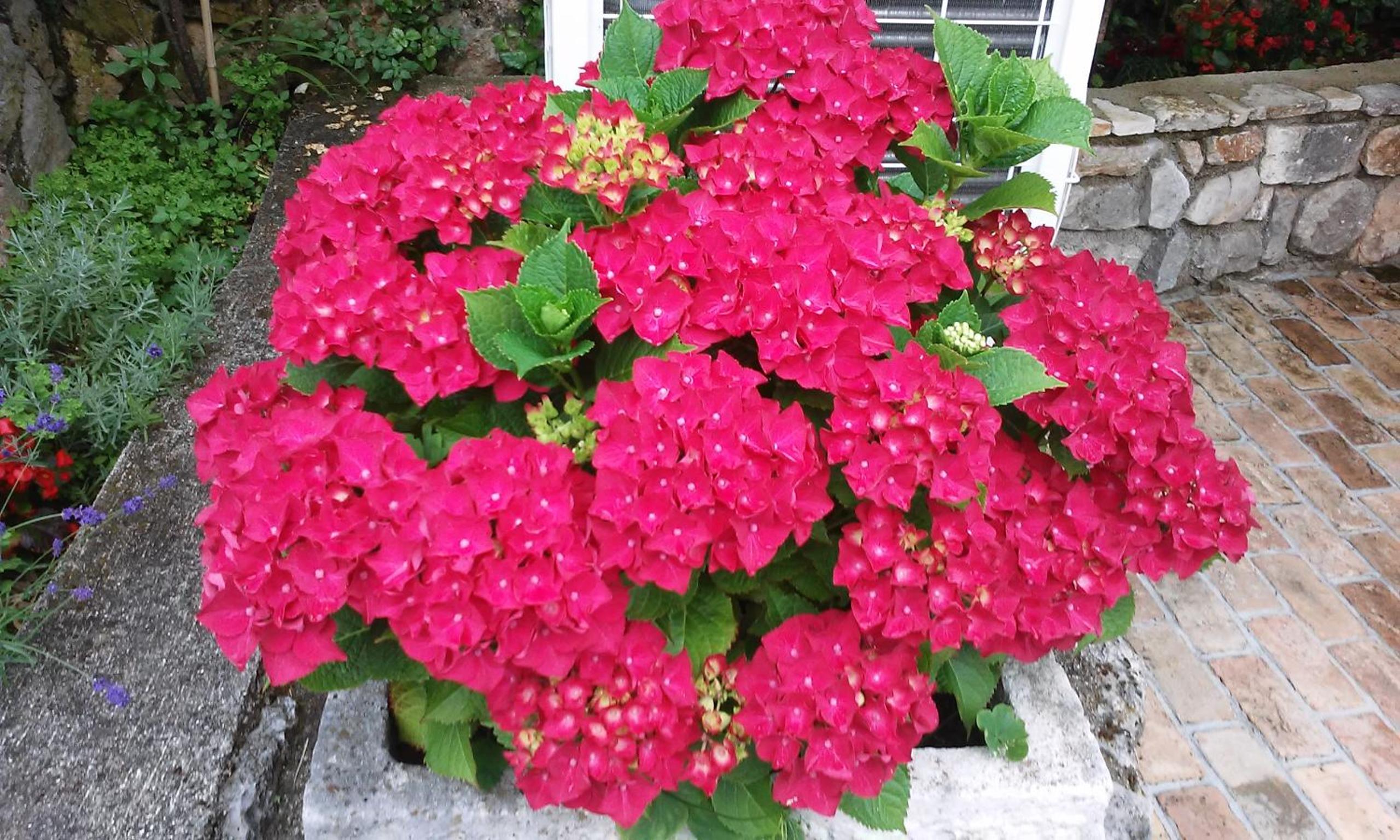 Photo 22