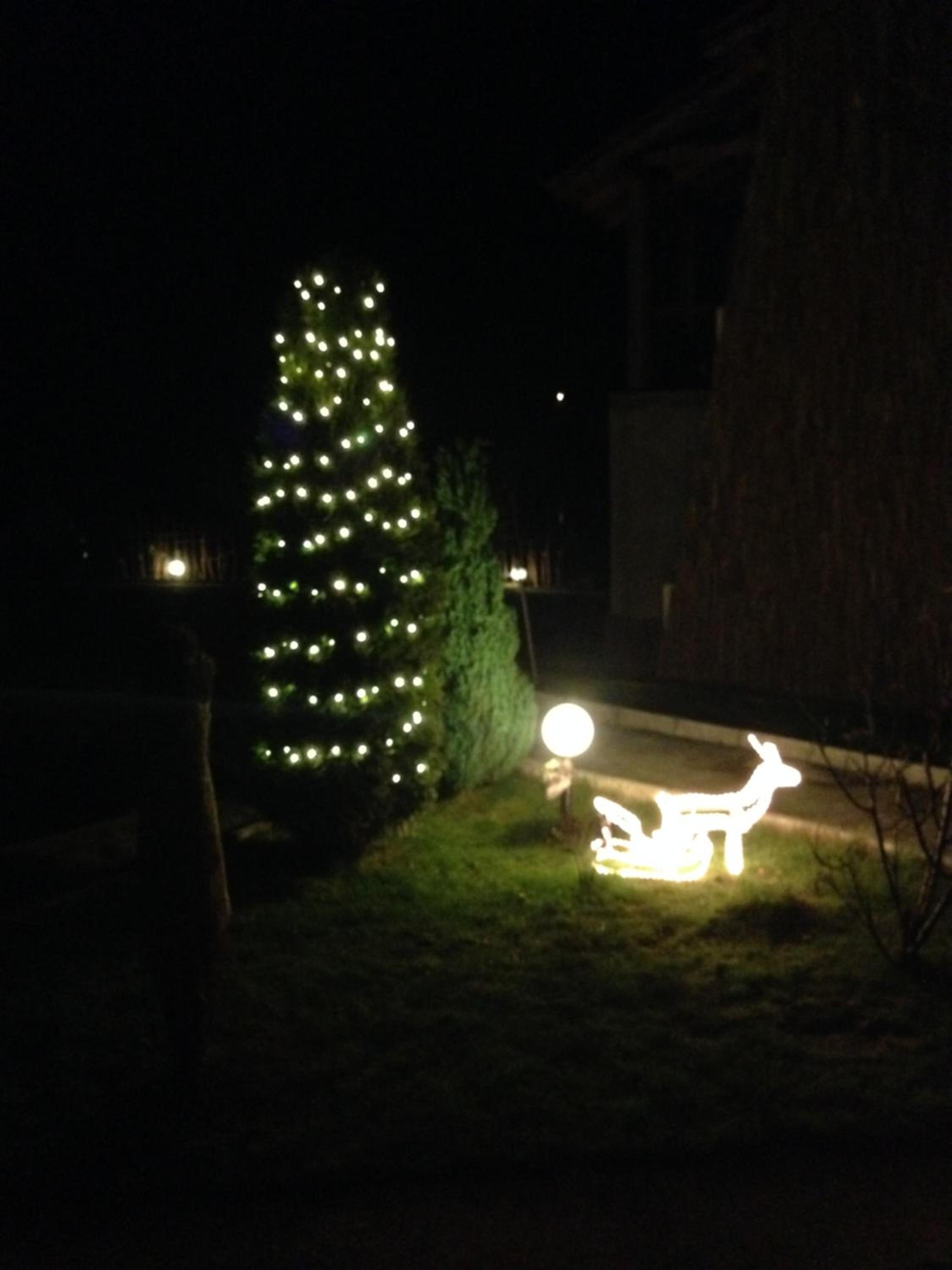 Photo 29