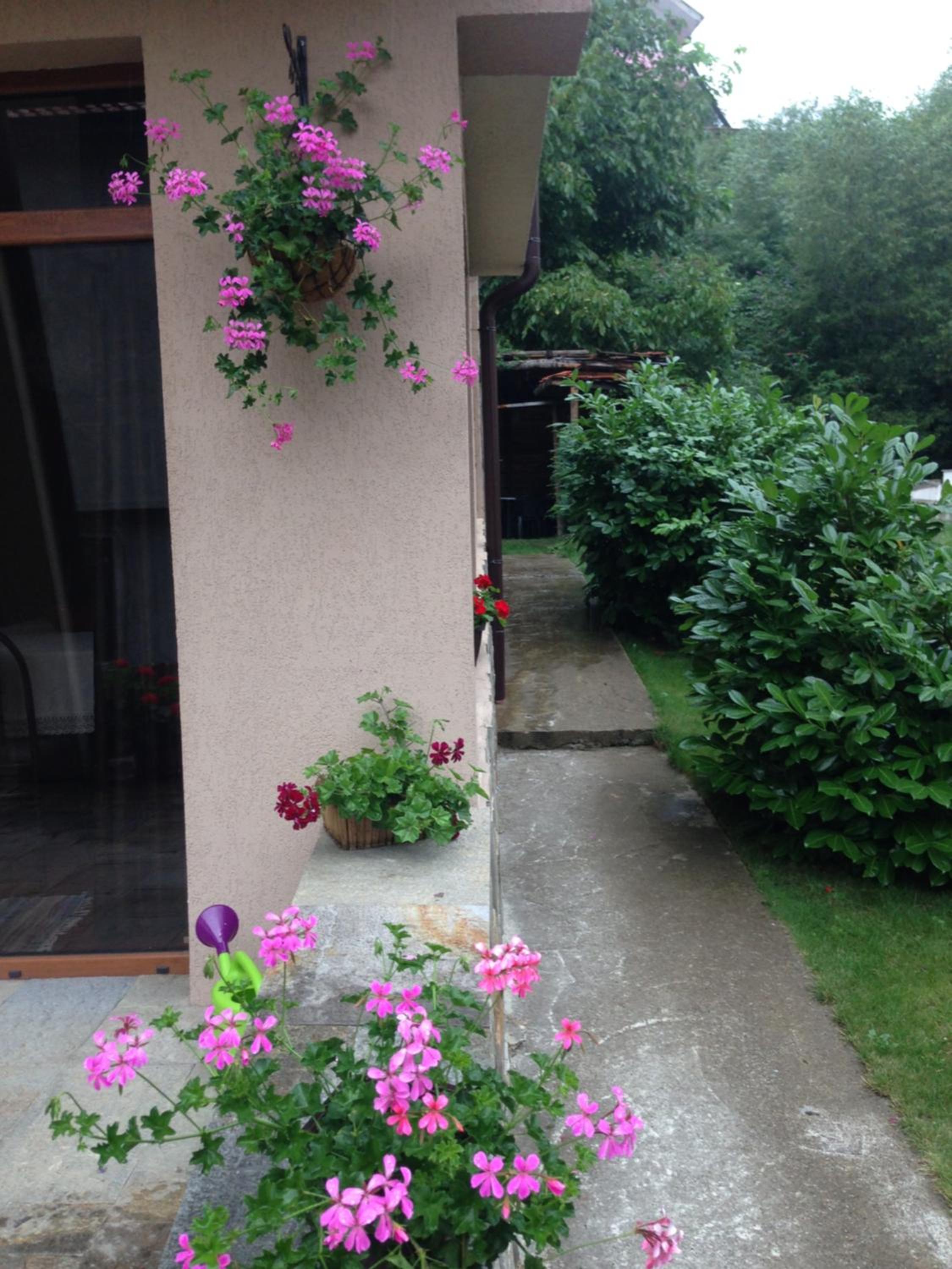 Photo 32