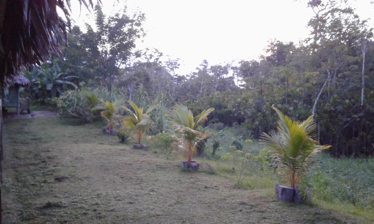 Photo 18