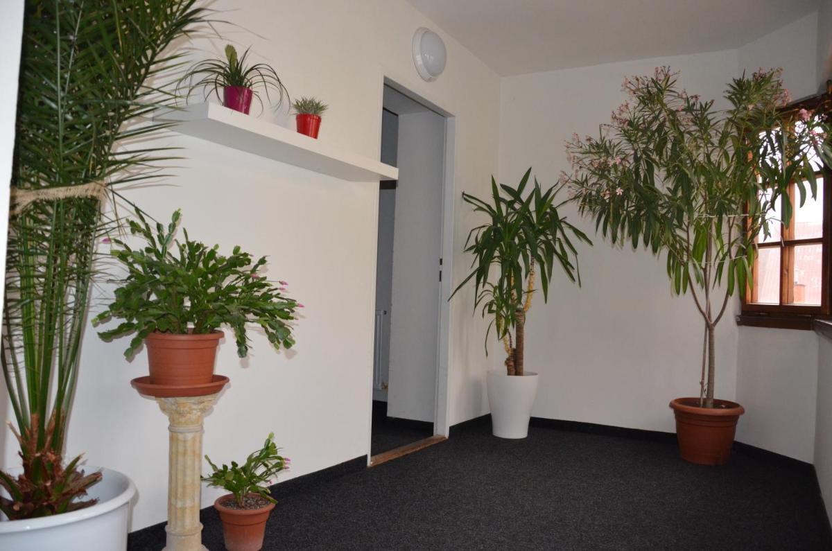 Guesthouse Zlatý Hrozen