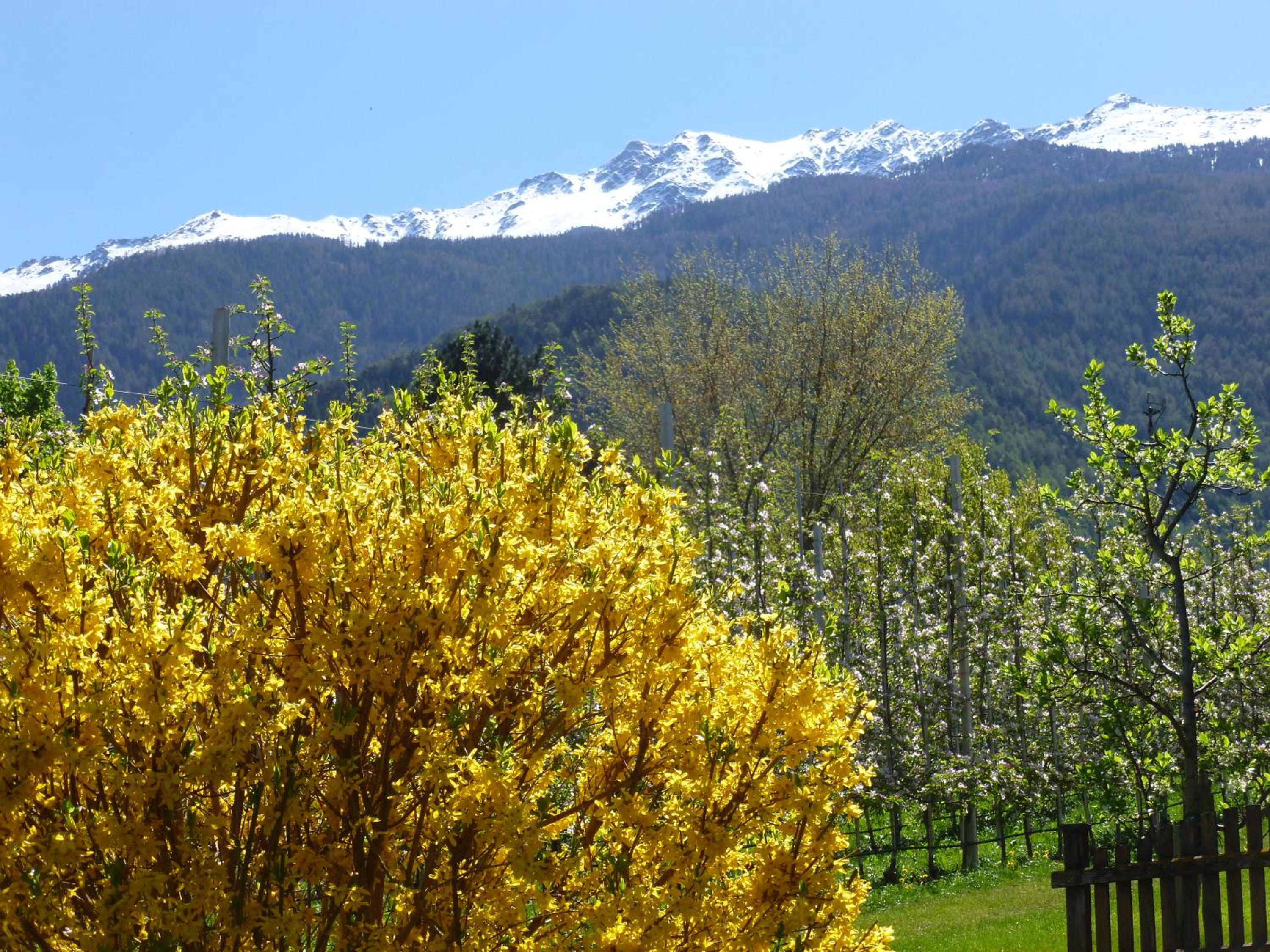 Photo 44