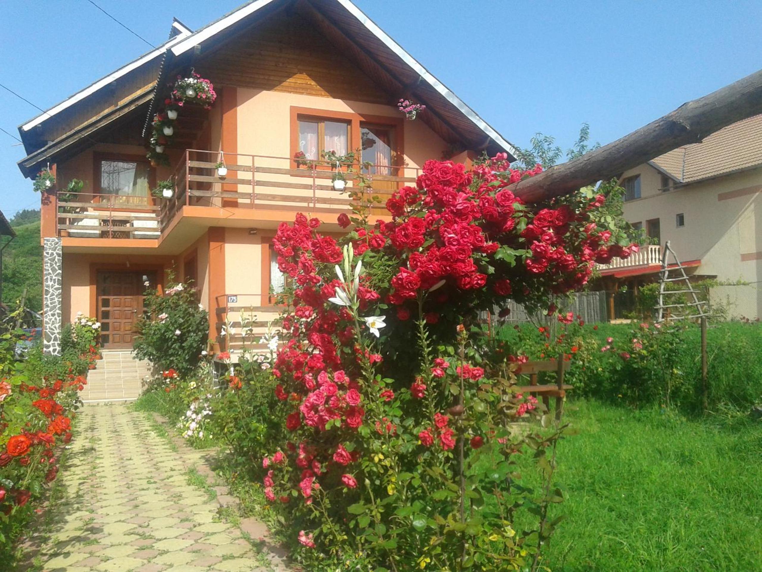 Nopti de Vara Transfăgărășan view 3