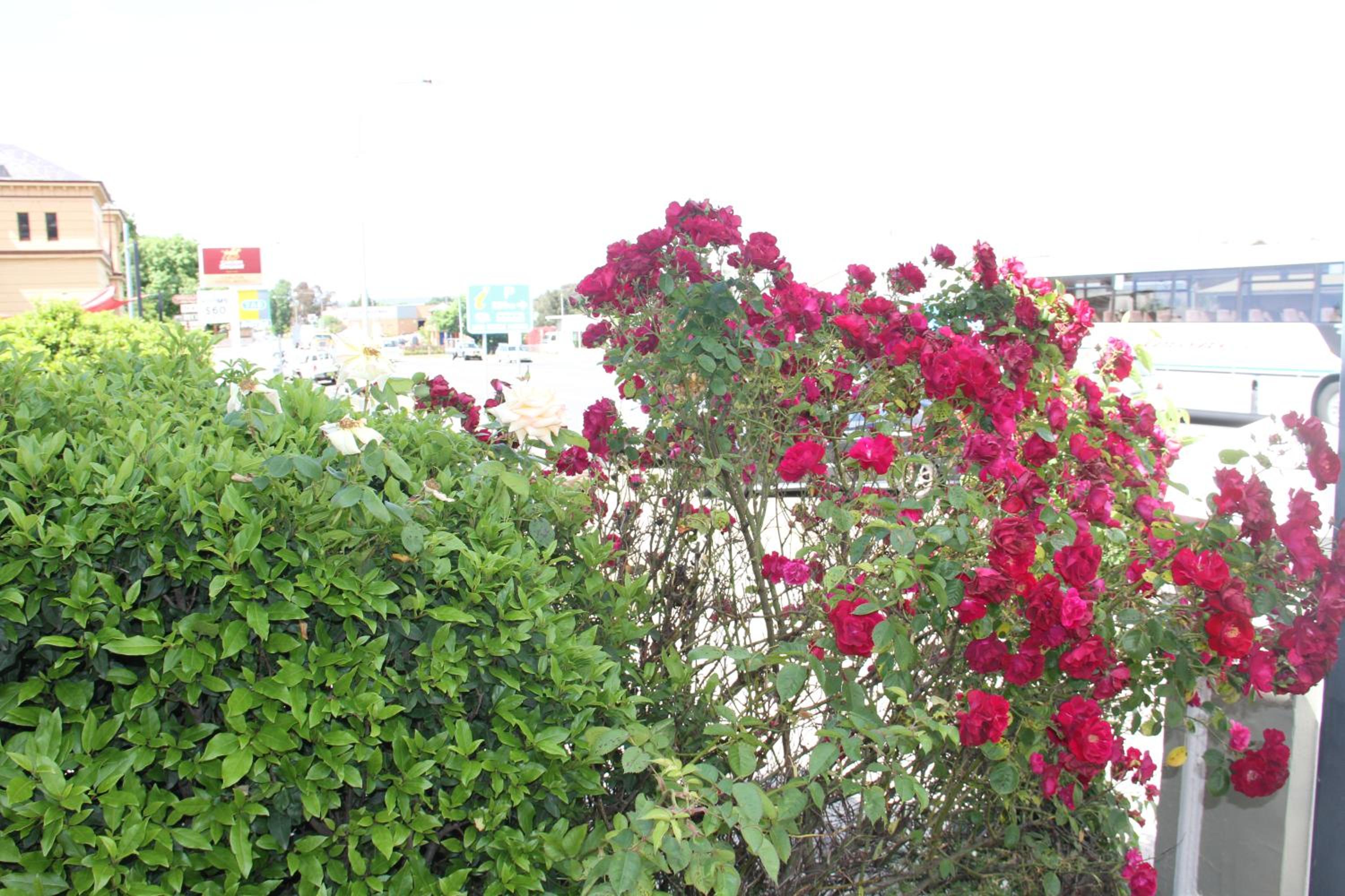 Photo 62