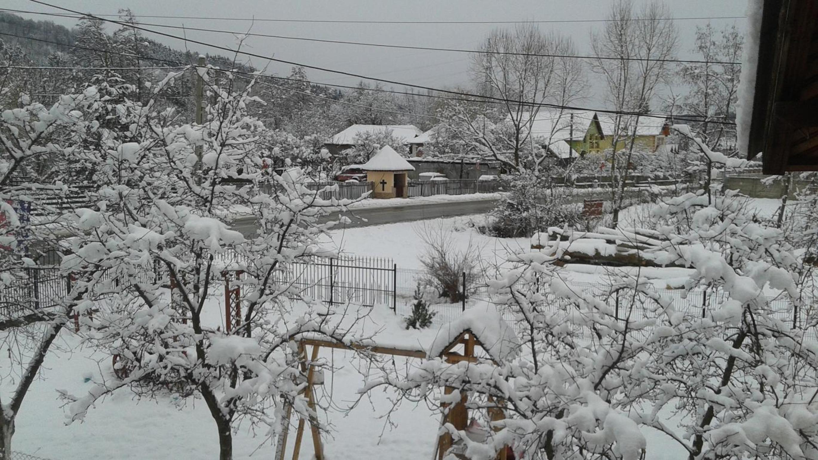 Photo 11