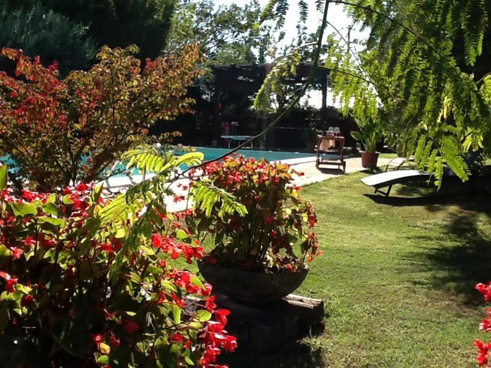 Photo 46