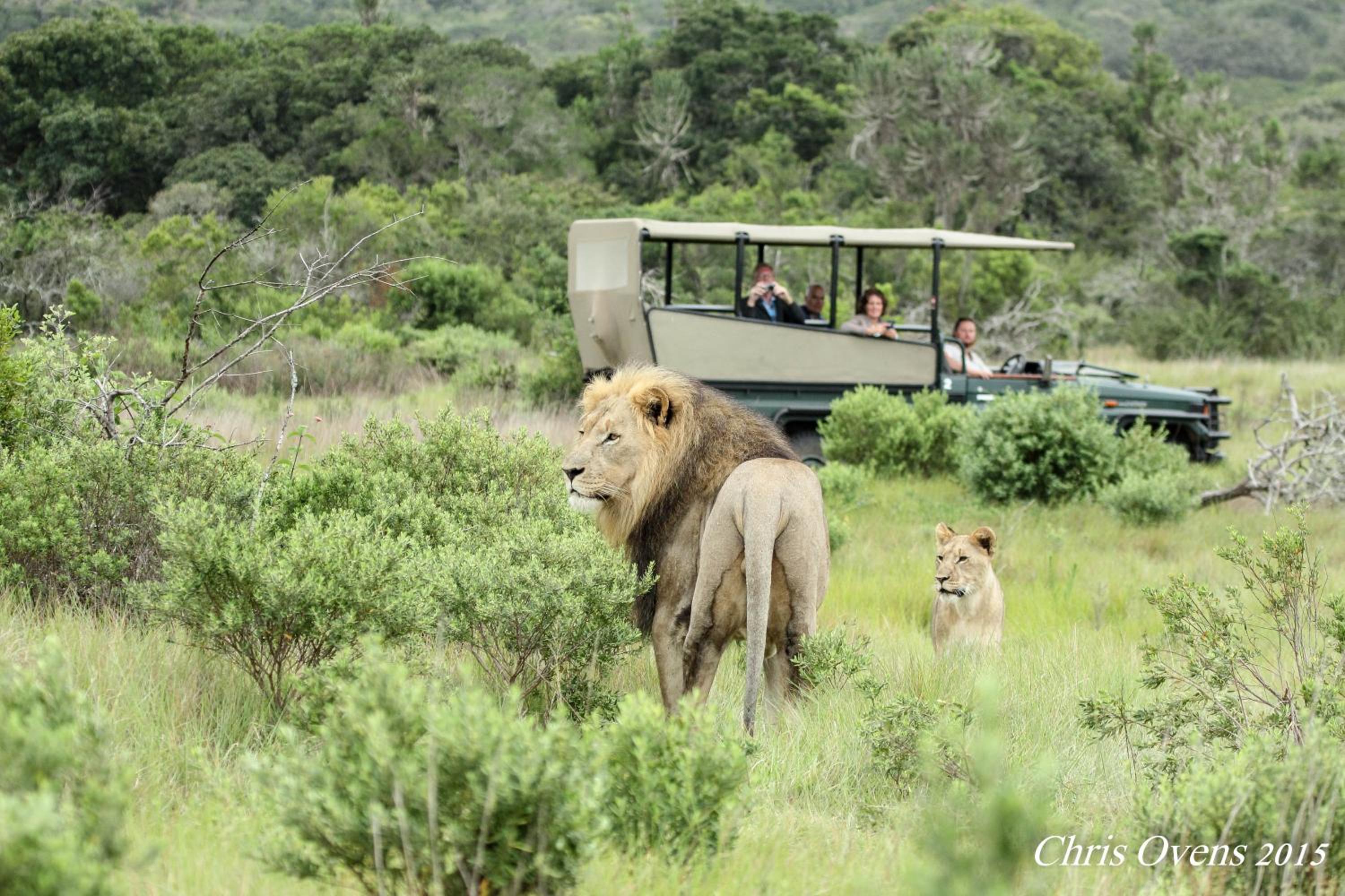 Sibuya Game Reserve and Lodge