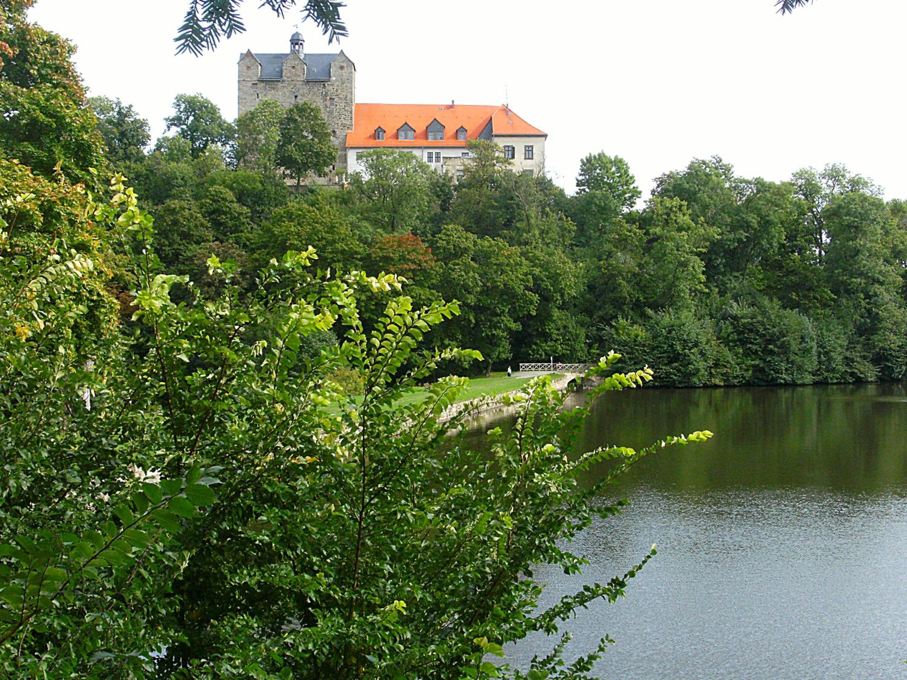 Photo 27