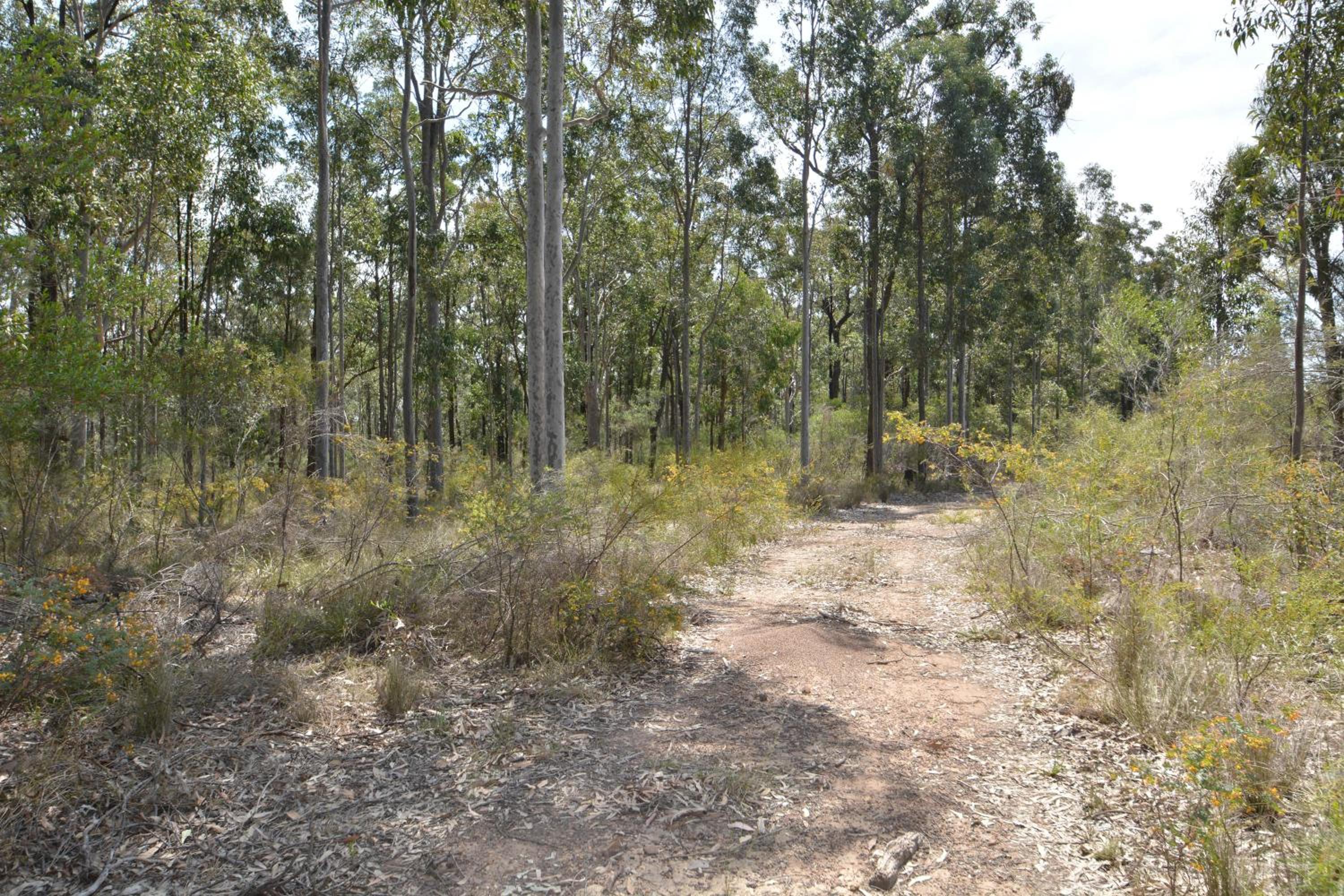 The Ranch Hunter Valley - central to all the Hunter Valley has to offer