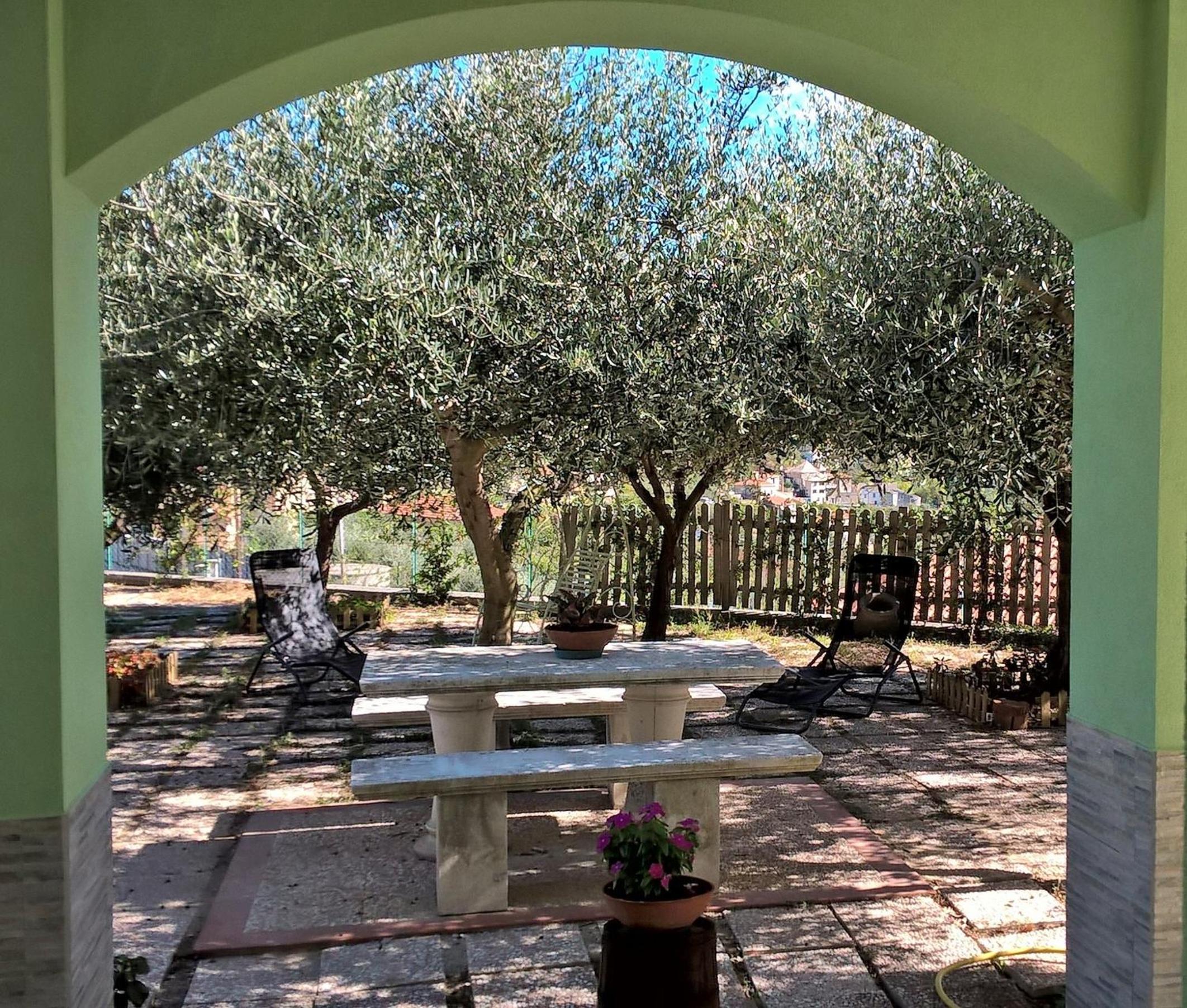 B&B Elfo degli Ulivi