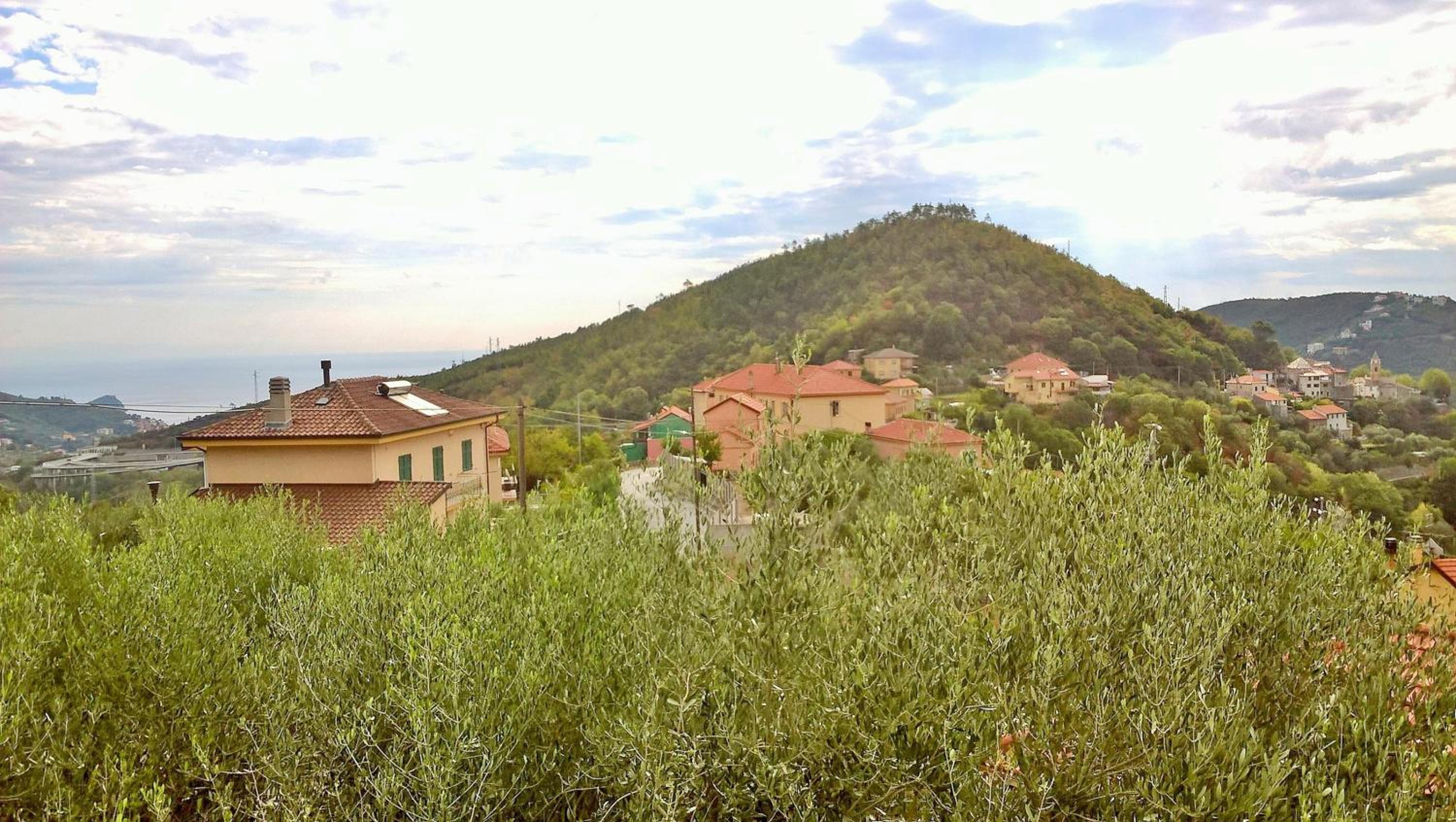 B&B Elfo degli Ulivi