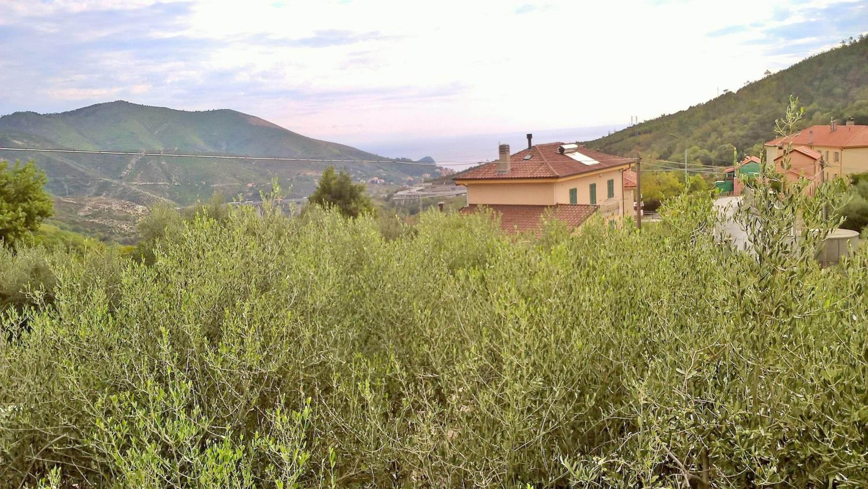 B&B Elfo degli Ulivi