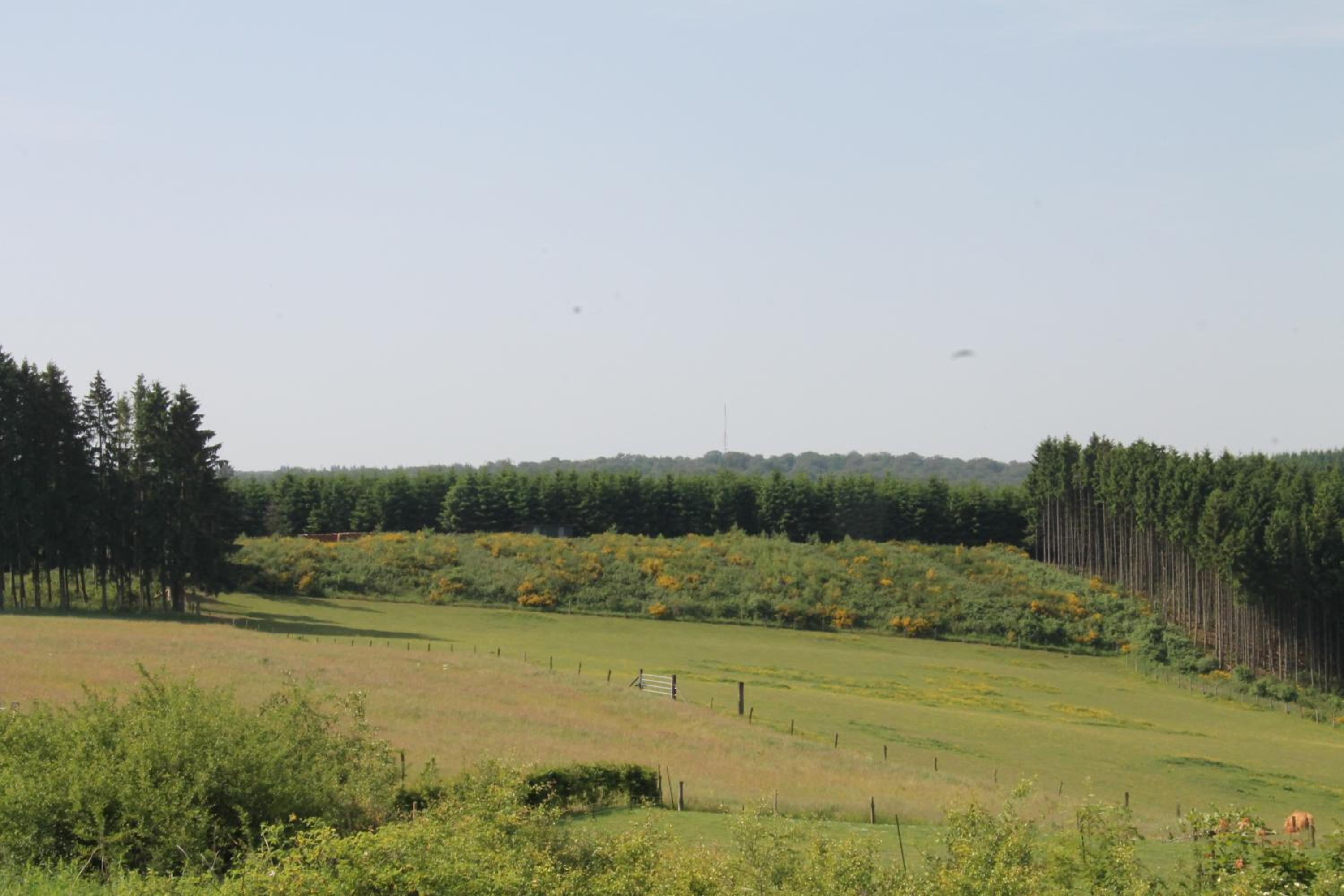 B&B Au fil des saisons sur la Wiels