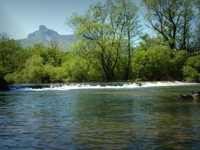 Photo 52
