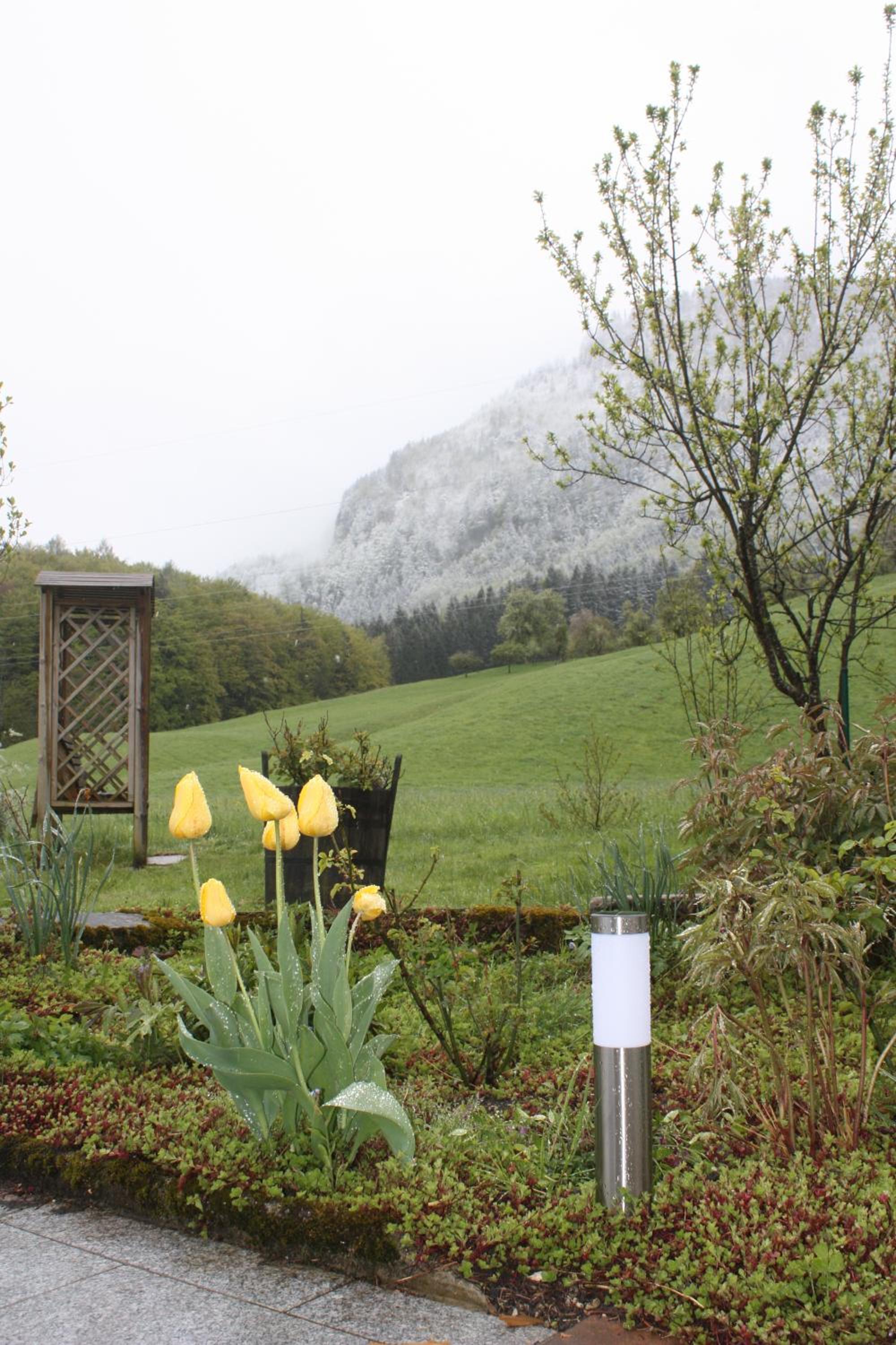 Landlust Ischl