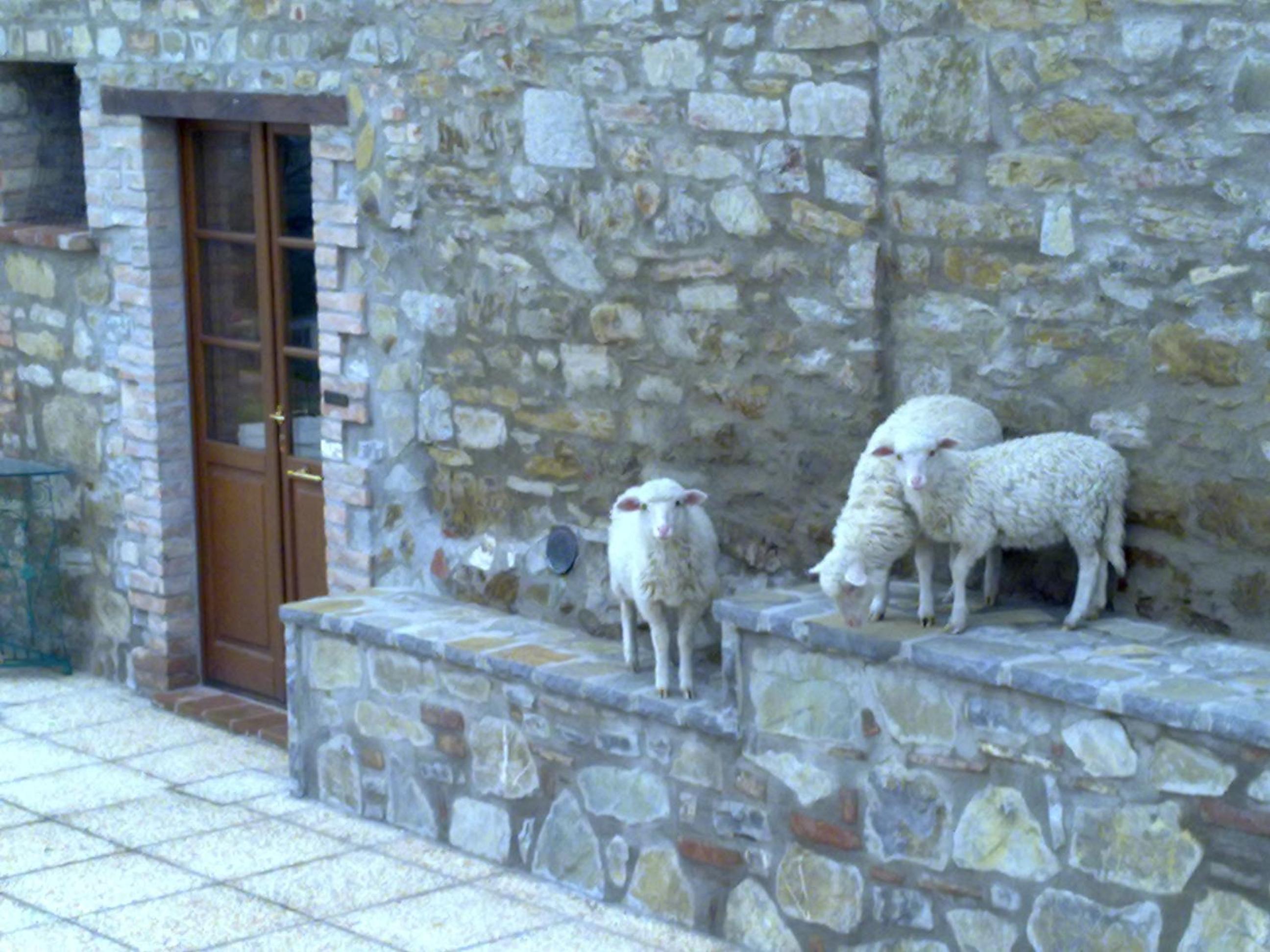 Agriturismo Le Case Rosse di Montebuono