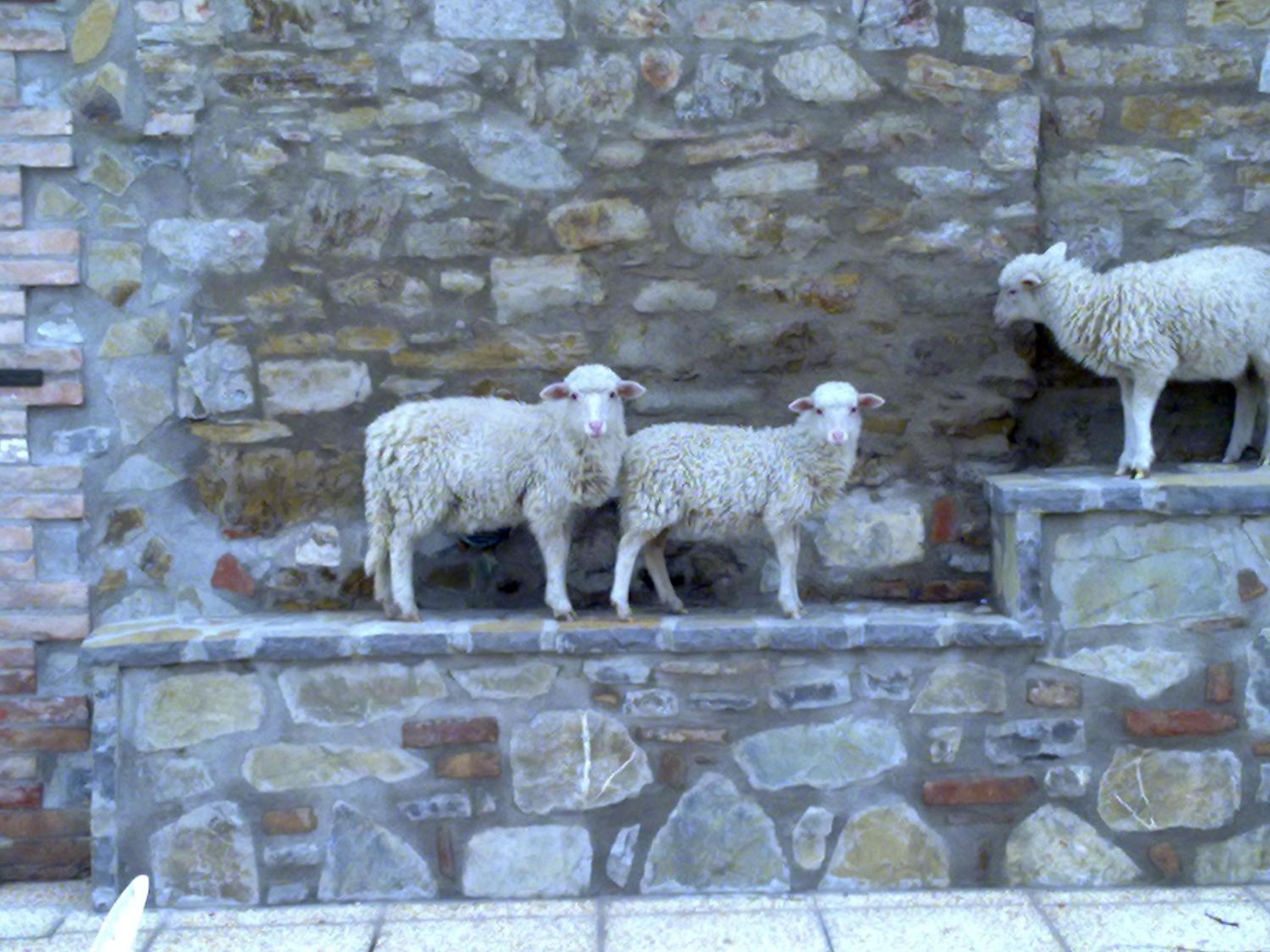 Photo 78